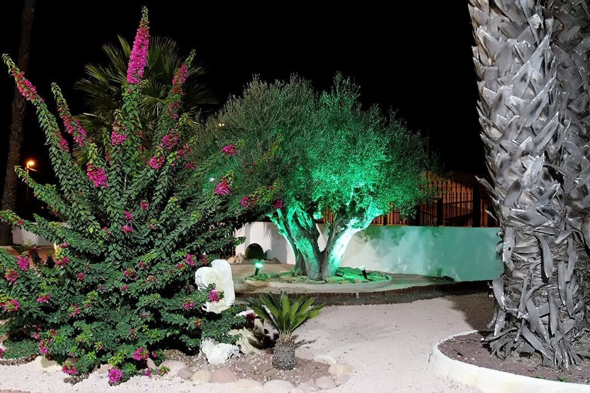 Revente - Finca Propriété rurale -
Orihuela