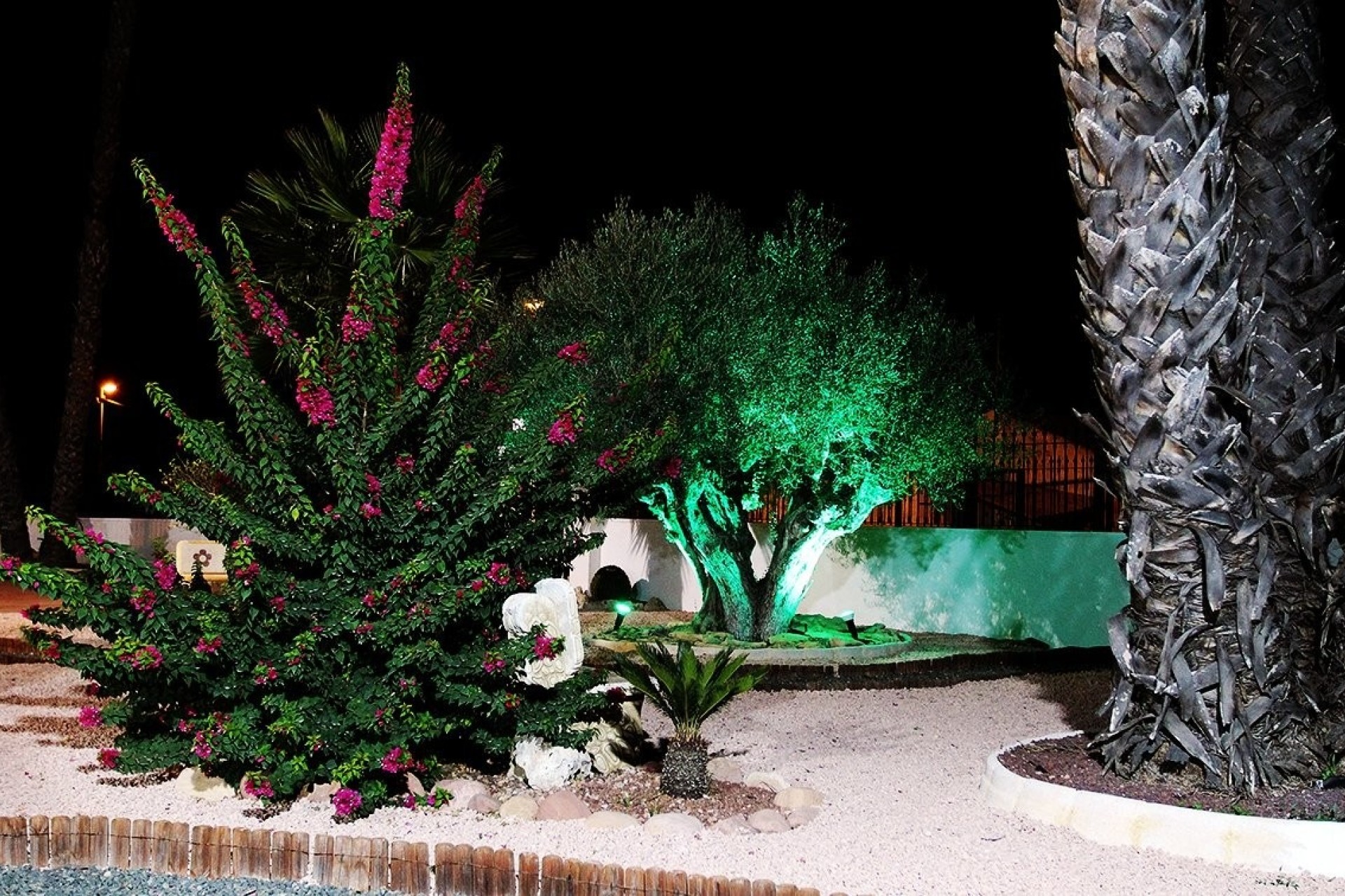 Revente - Finca Propriété rurale -
Orihuela