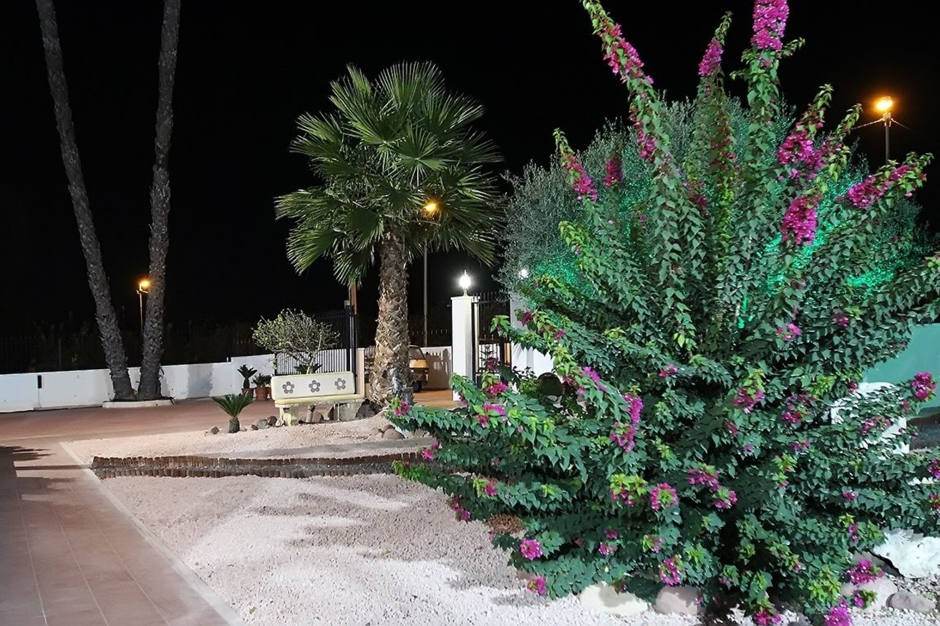 Revente - Finca Propriété rurale -
Orihuela