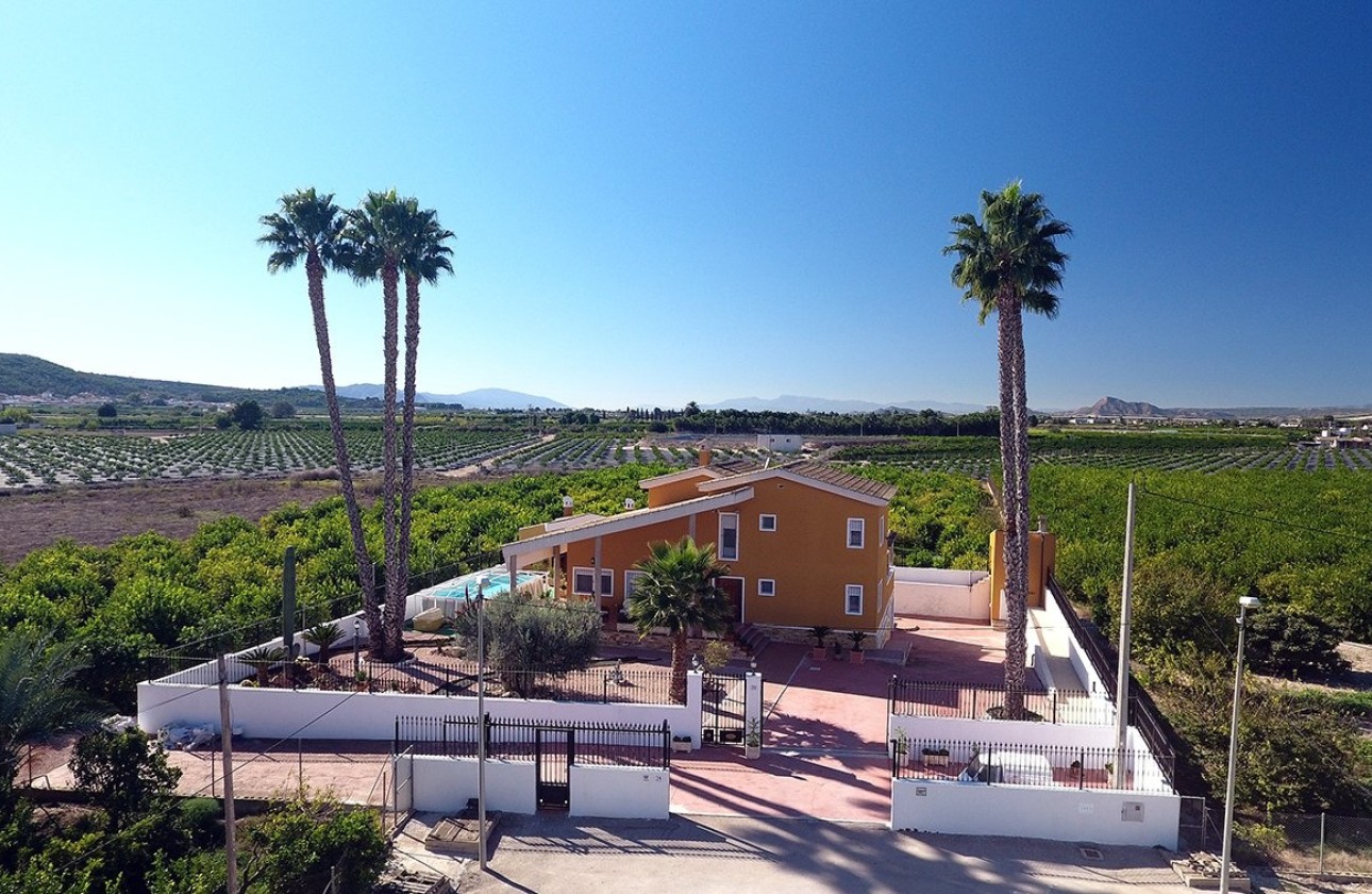 Revente - Finca Propriété rurale -
Orihuela