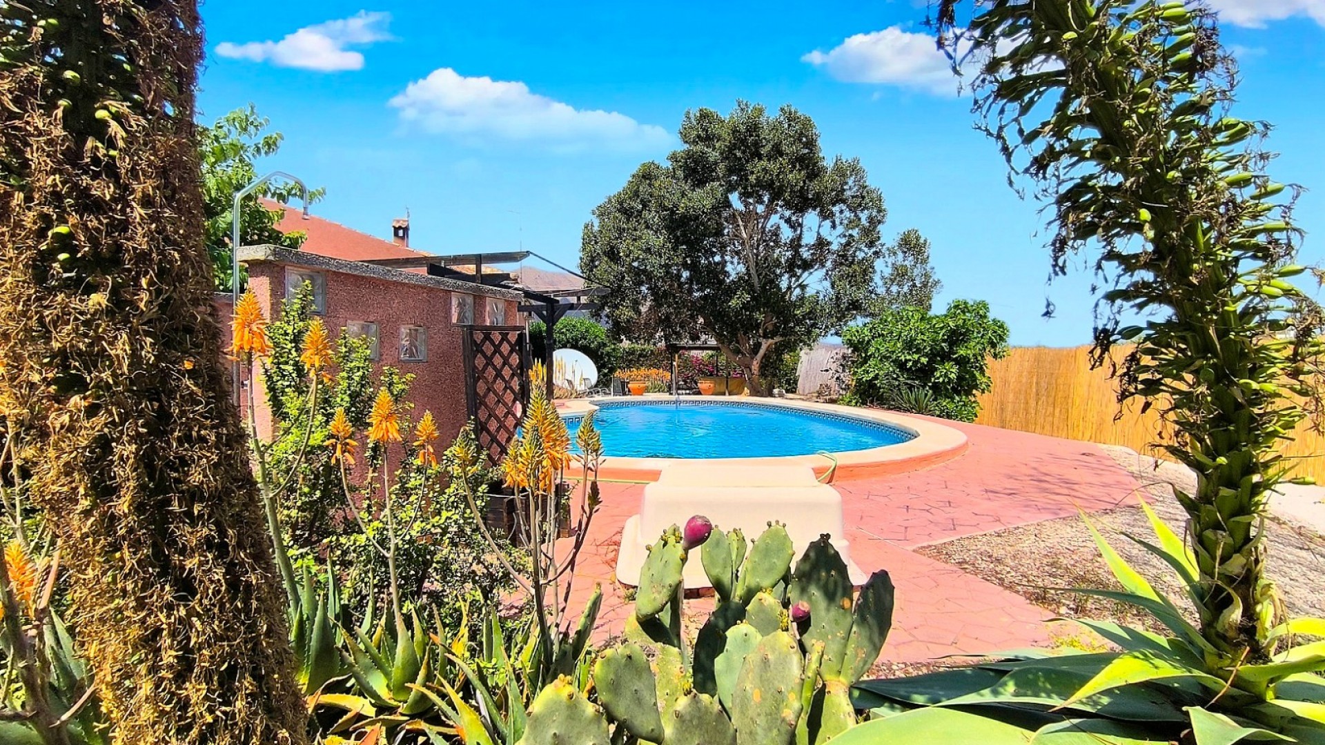 Revente - Finca Propriété rurale -
Orihuela