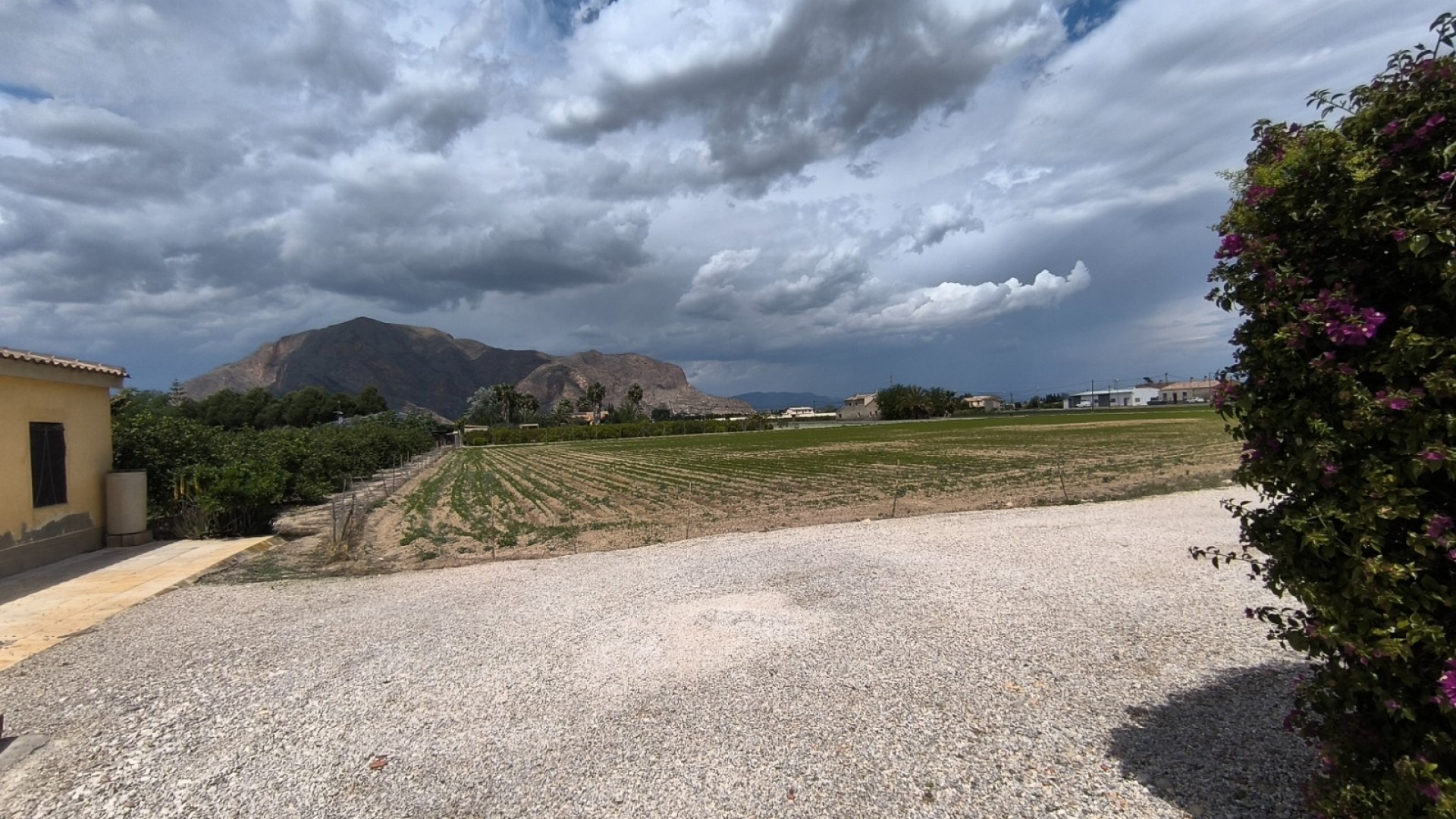 Revente - Finca Propriété rurale -
Orihuela