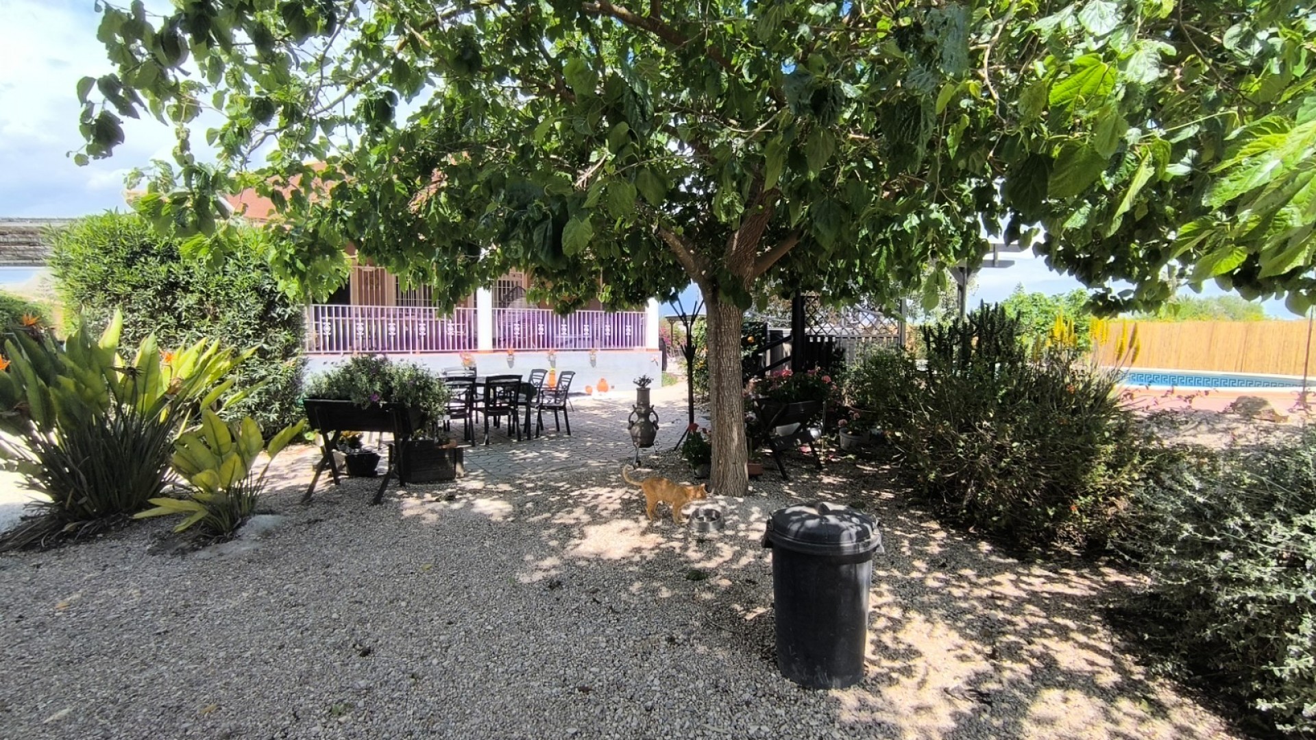 Revente - Finca Propriété rurale -
Orihuela