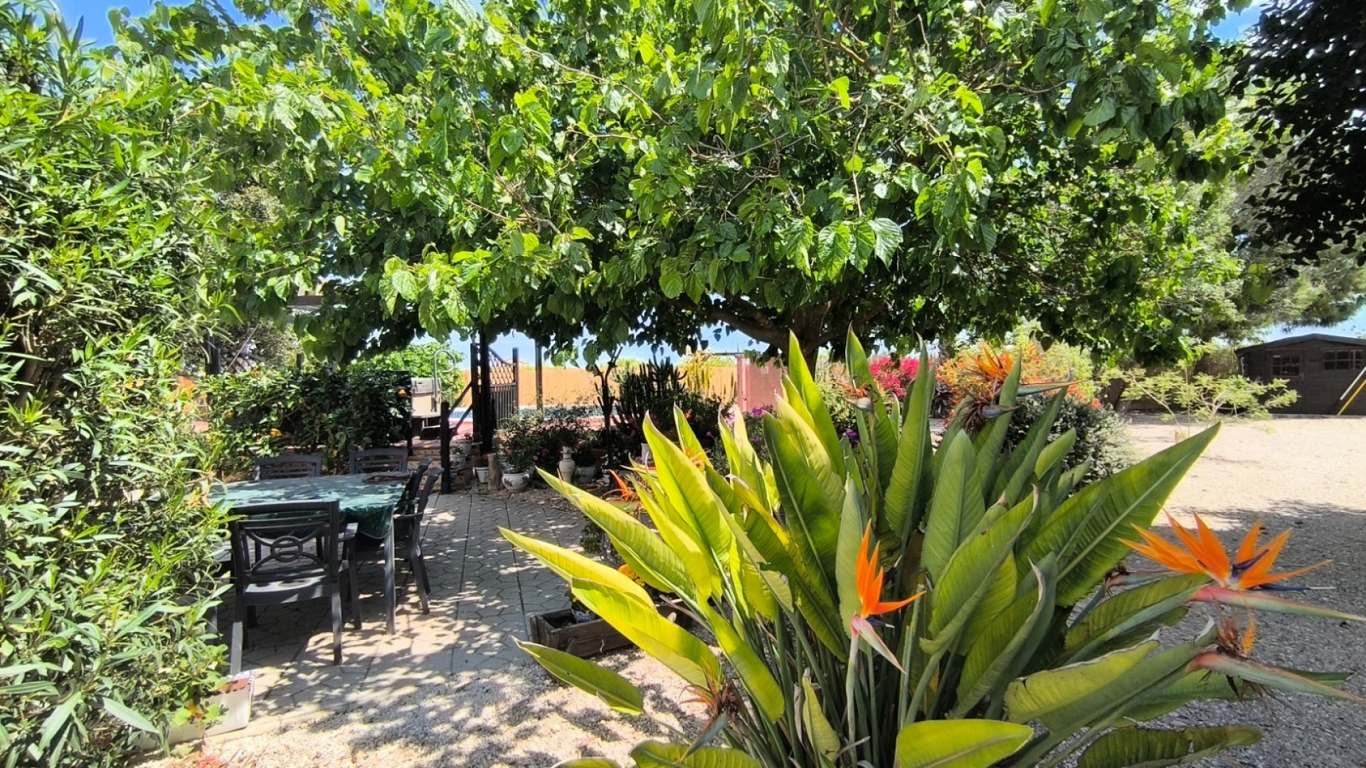 Revente - Finca Propriété rurale -
Orihuela