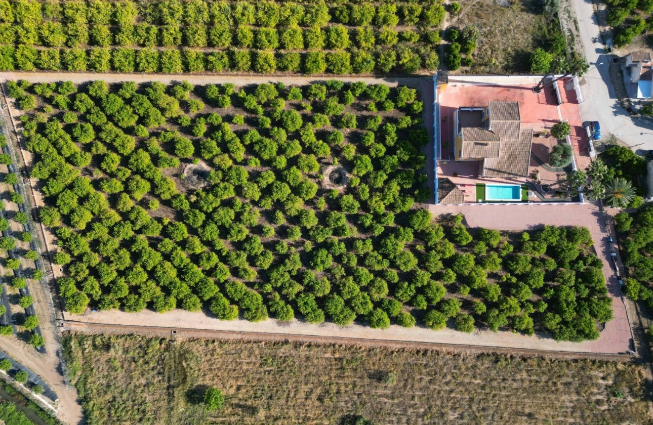 Revente - Finca Propriété rurale -
Orihuela