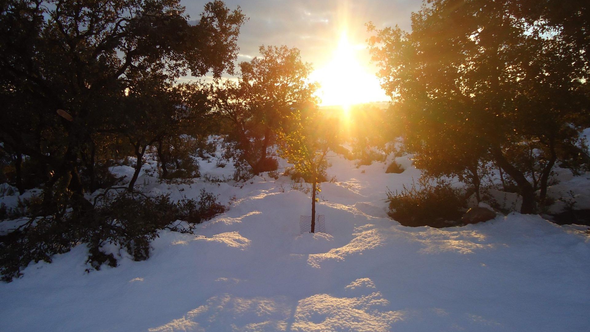 Revente - Finca Propriété rurale -
Ossa de Montiel - Lagunas de ruidera