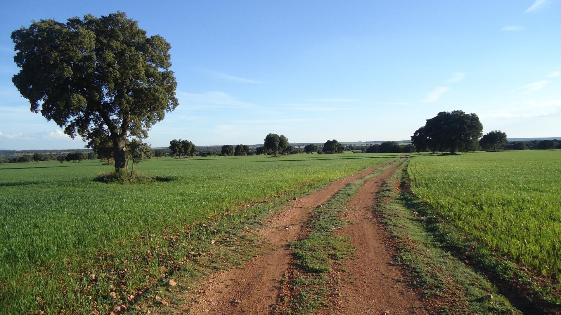 Revente - Finca Propriété rurale -
Ossa de Montiel - Lagunas de ruidera