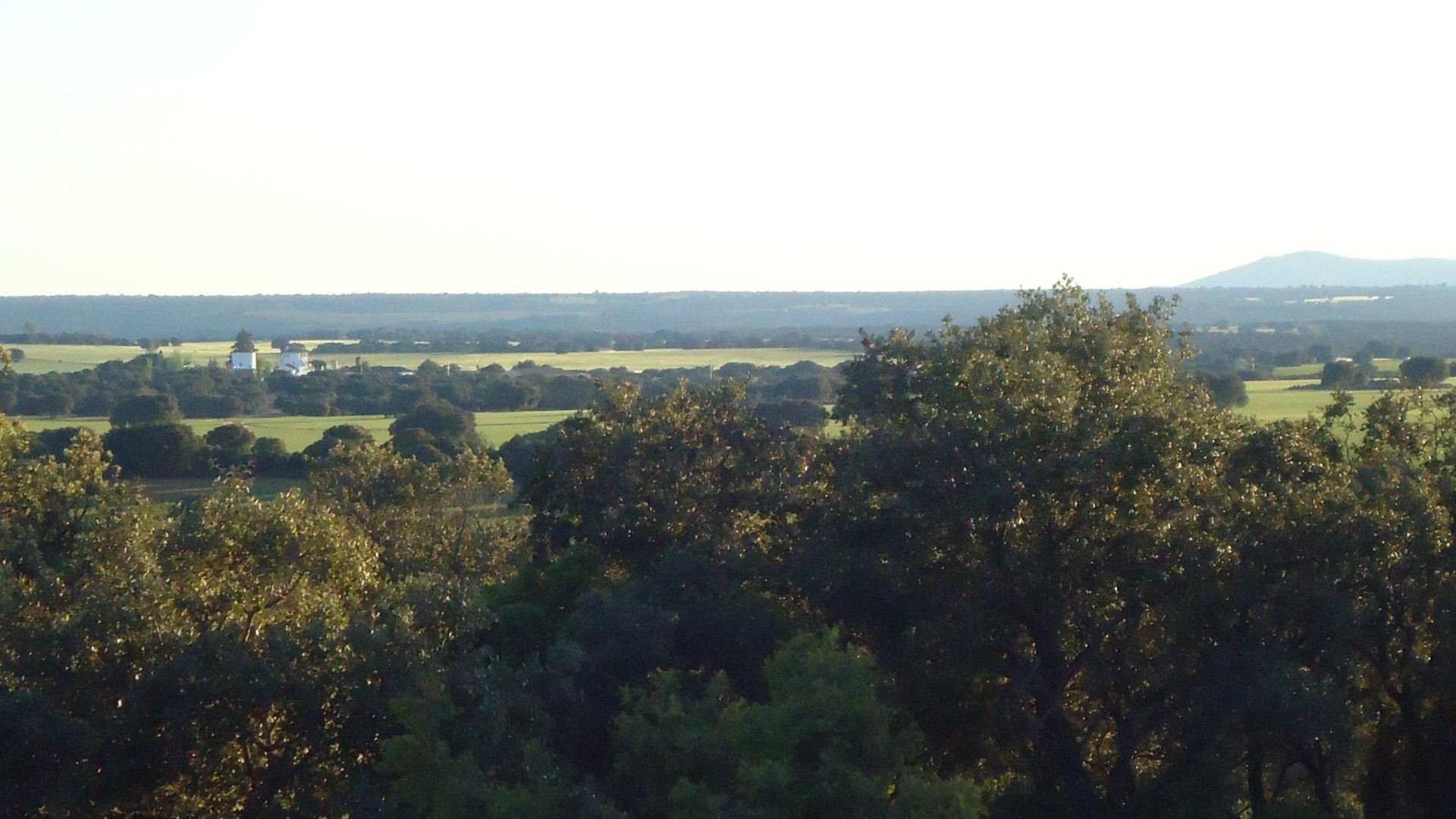 Revente - Finca Propriété rurale -
Ossa de Montiel - Lagunas de ruidera
