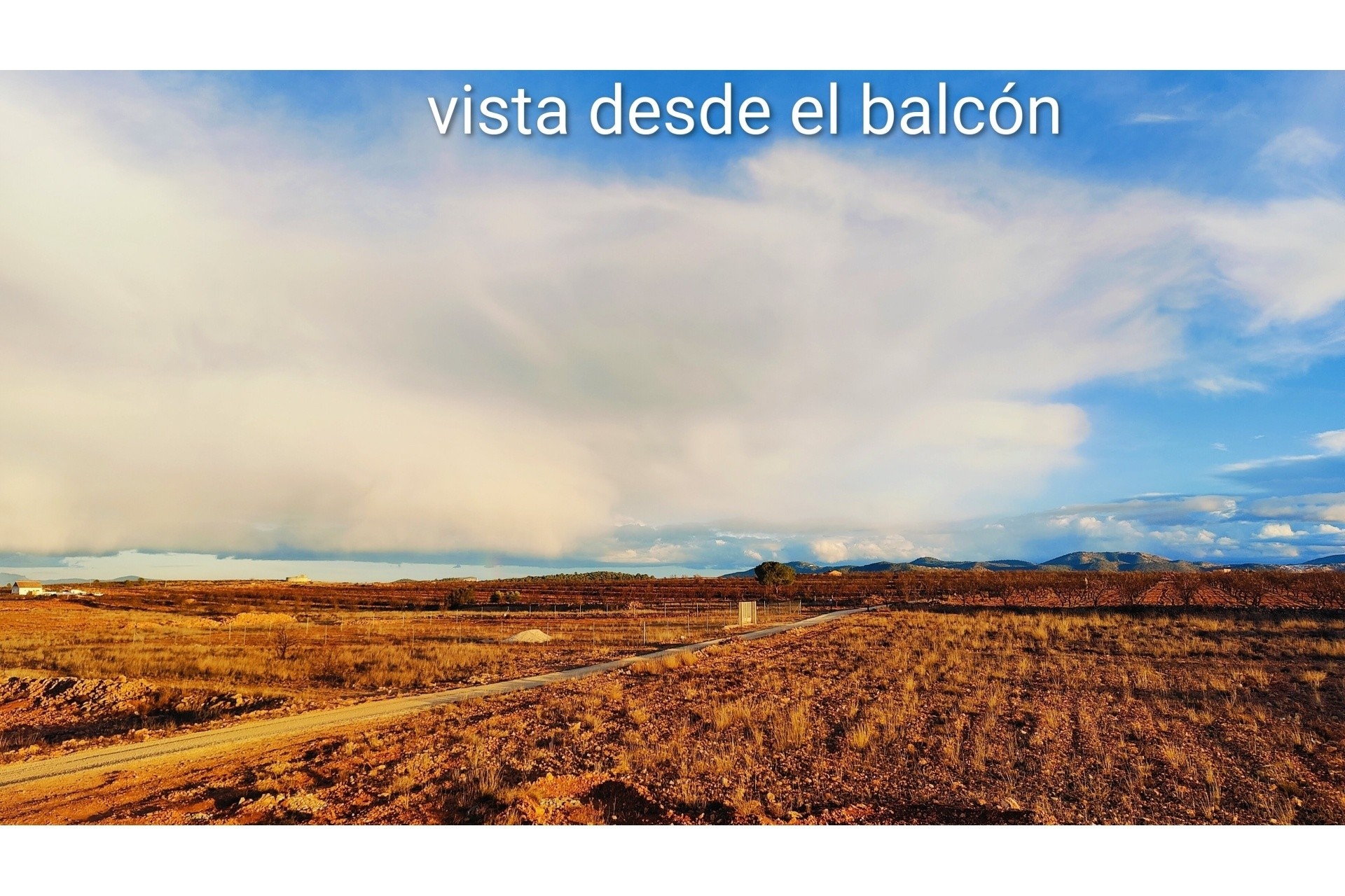 Revente - Finca / Propriété rurale -
Pinoso - Pinoso Alicante