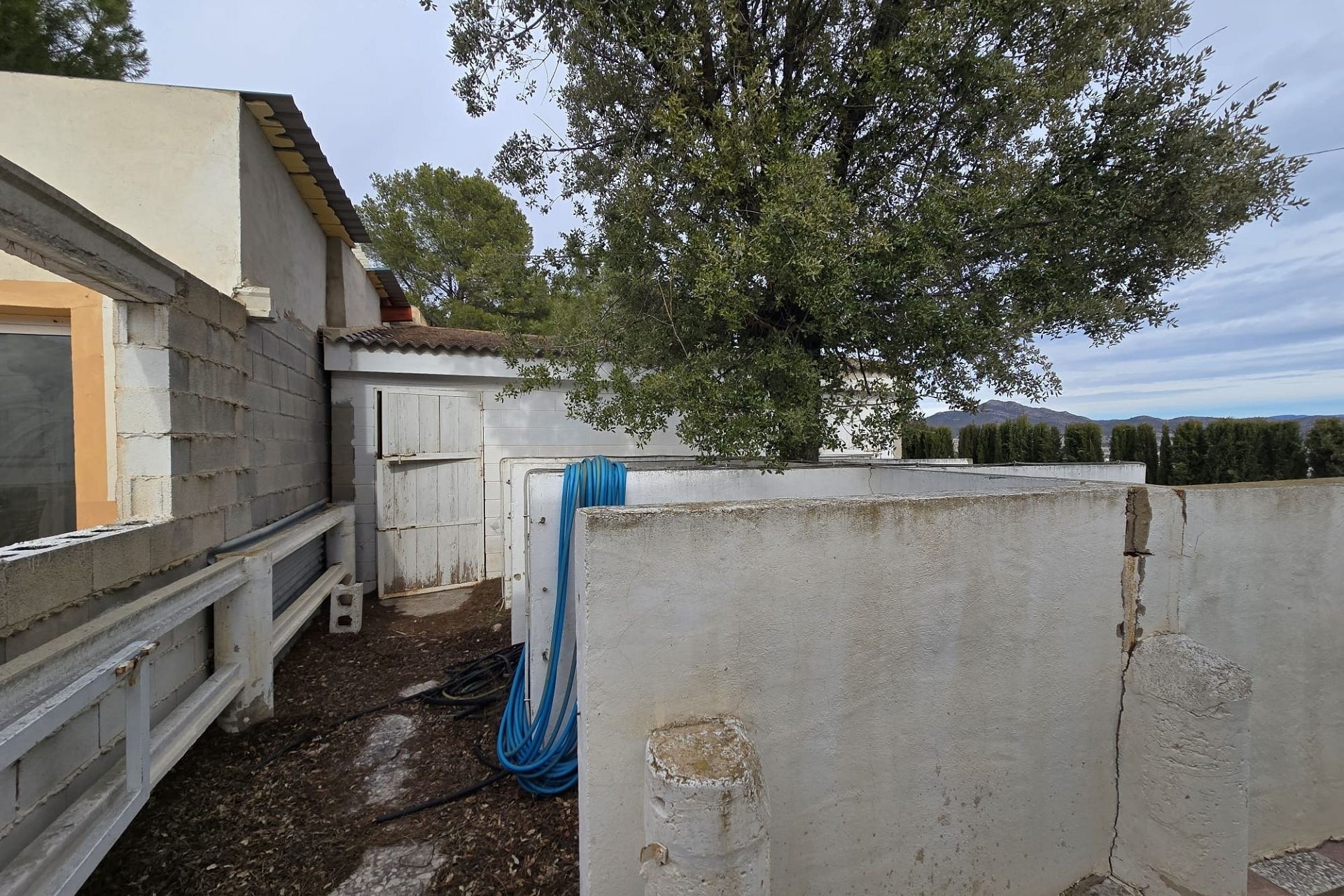 Revente - Finca Propriété rurale -
Salinas