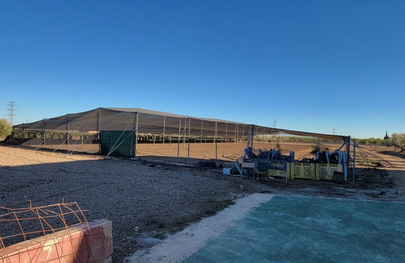 Revente - Finca Propriété rurale -
San Miguel de Salinas