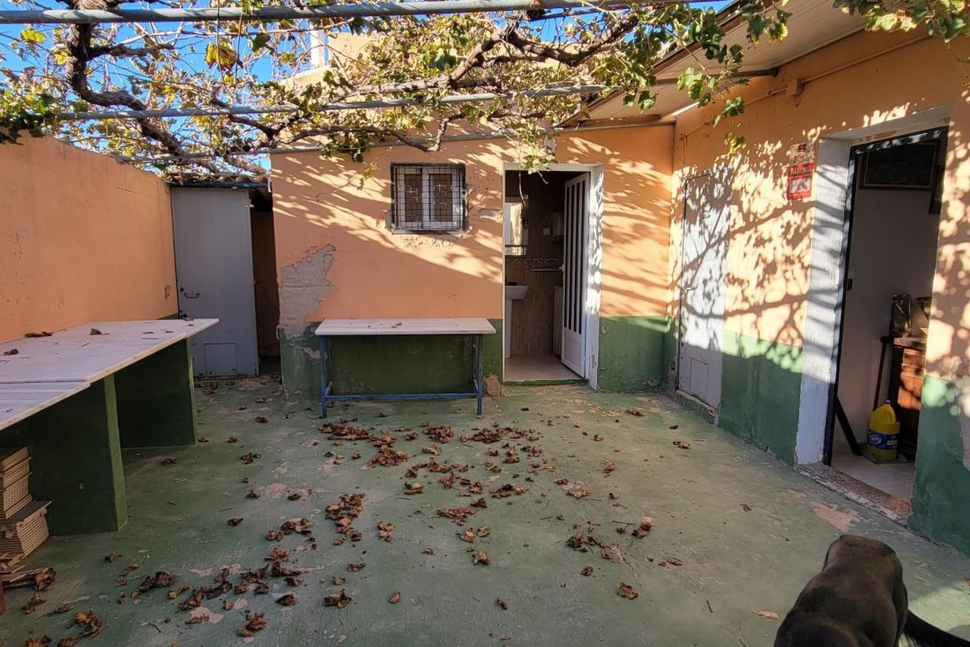 Revente - Finca Propriété rurale -
San Miguel de Salinas