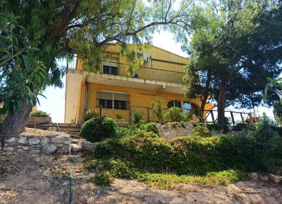 Revente - Finca Propriété rurale -
San Vicente del Raspeig - SAN VICENT DEL RASPEIG