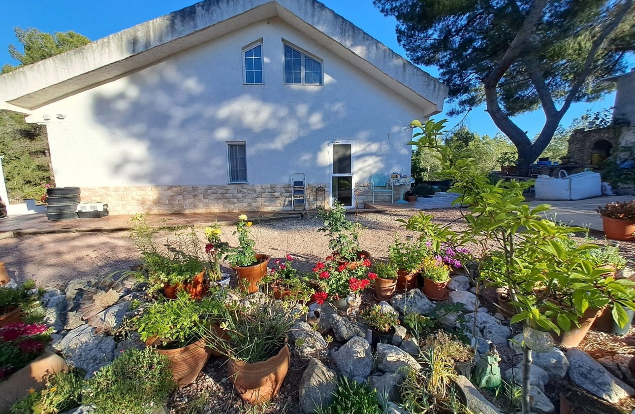 Revente - Finca / Propriété rurale -
Sax - SAX