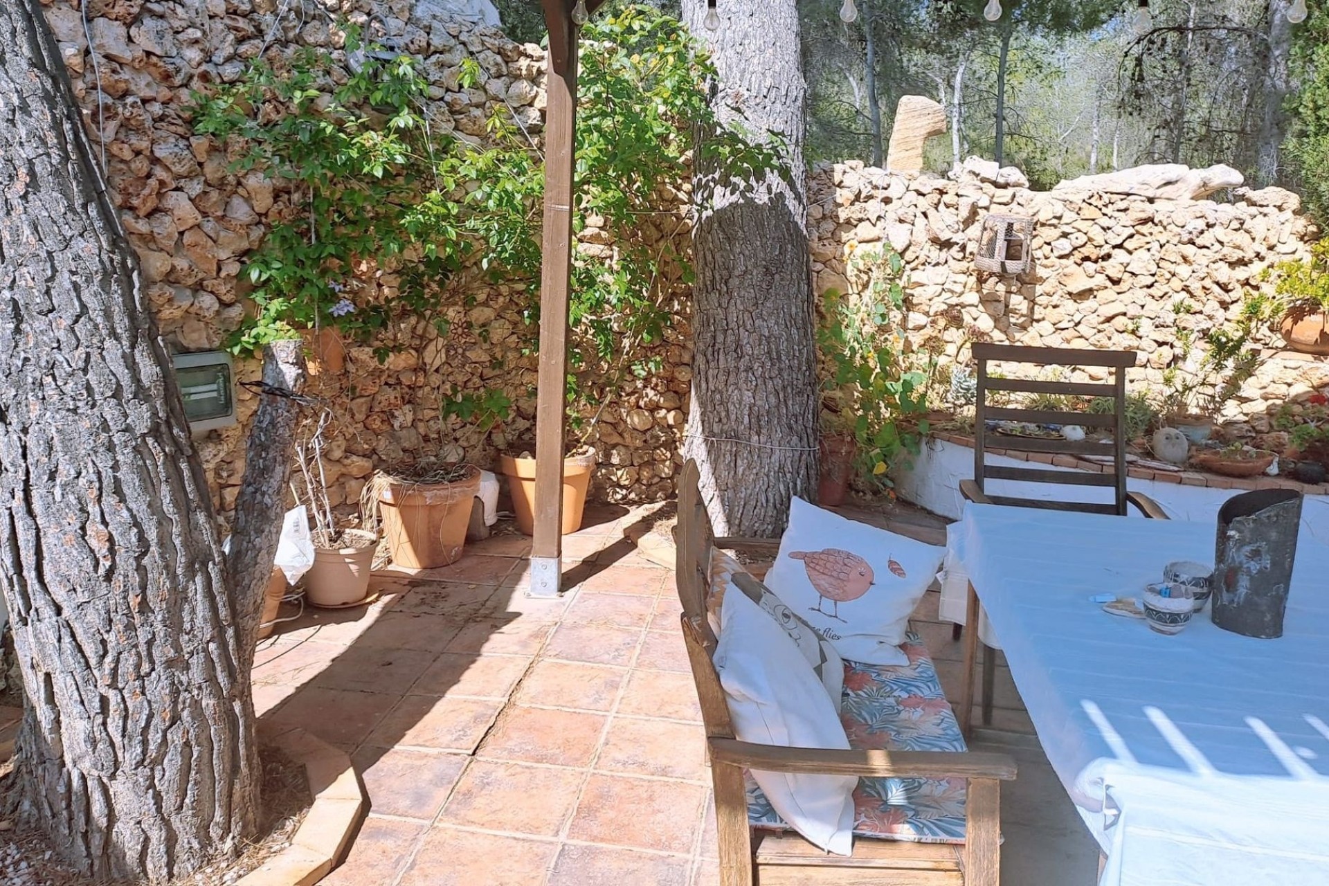 Revente - Finca / Propriété rurale -
Sax - SAX