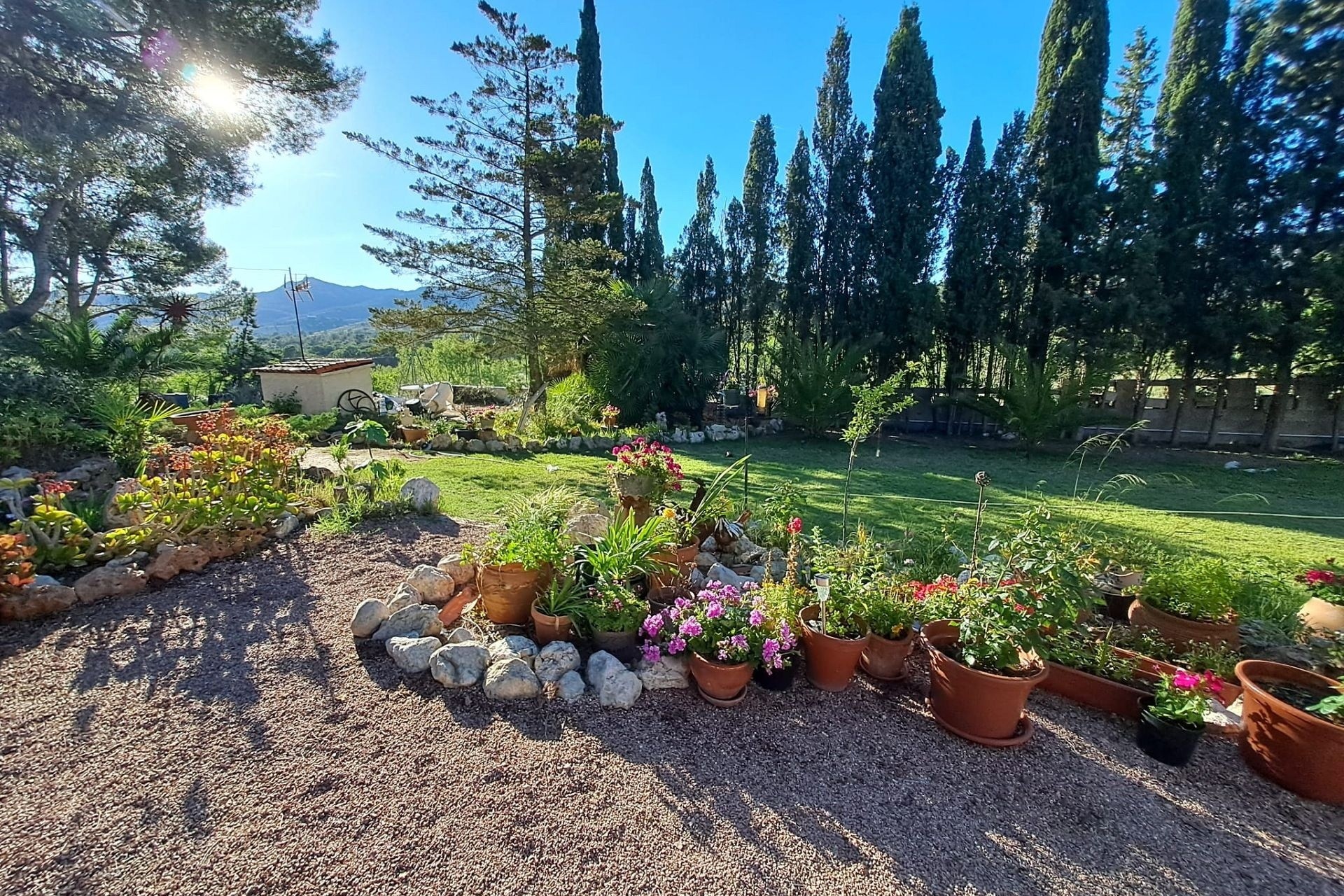 Revente - Finca / Propriété rurale -
Sax - SAX