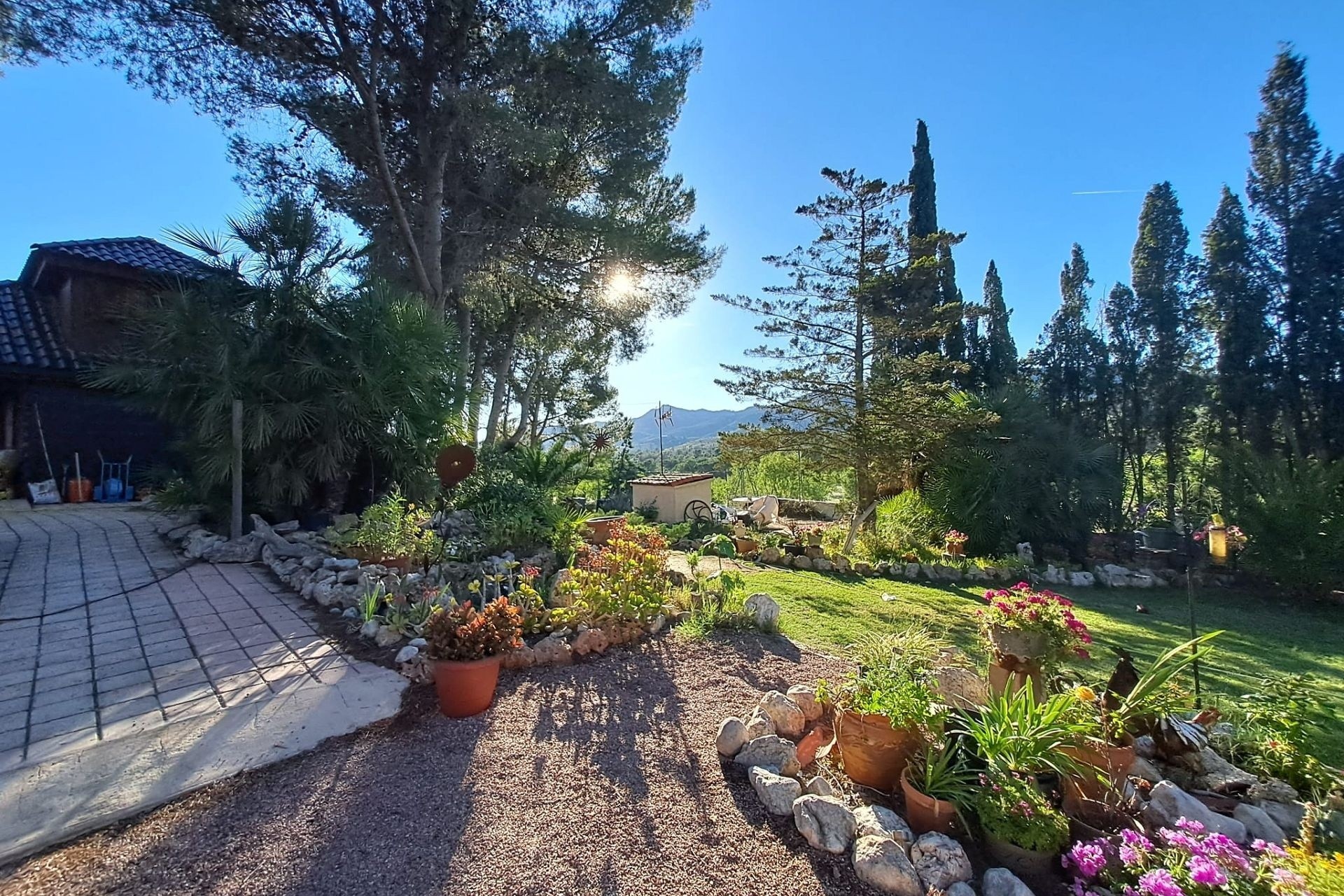 Revente - Finca / Propriété rurale -
Sax - SAX