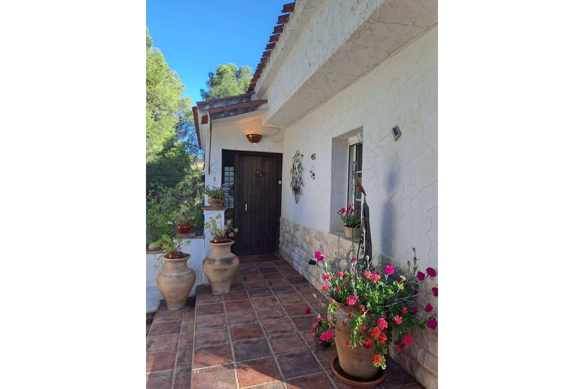 Revente - Finca / Propriété rurale -
Sax - SAX
