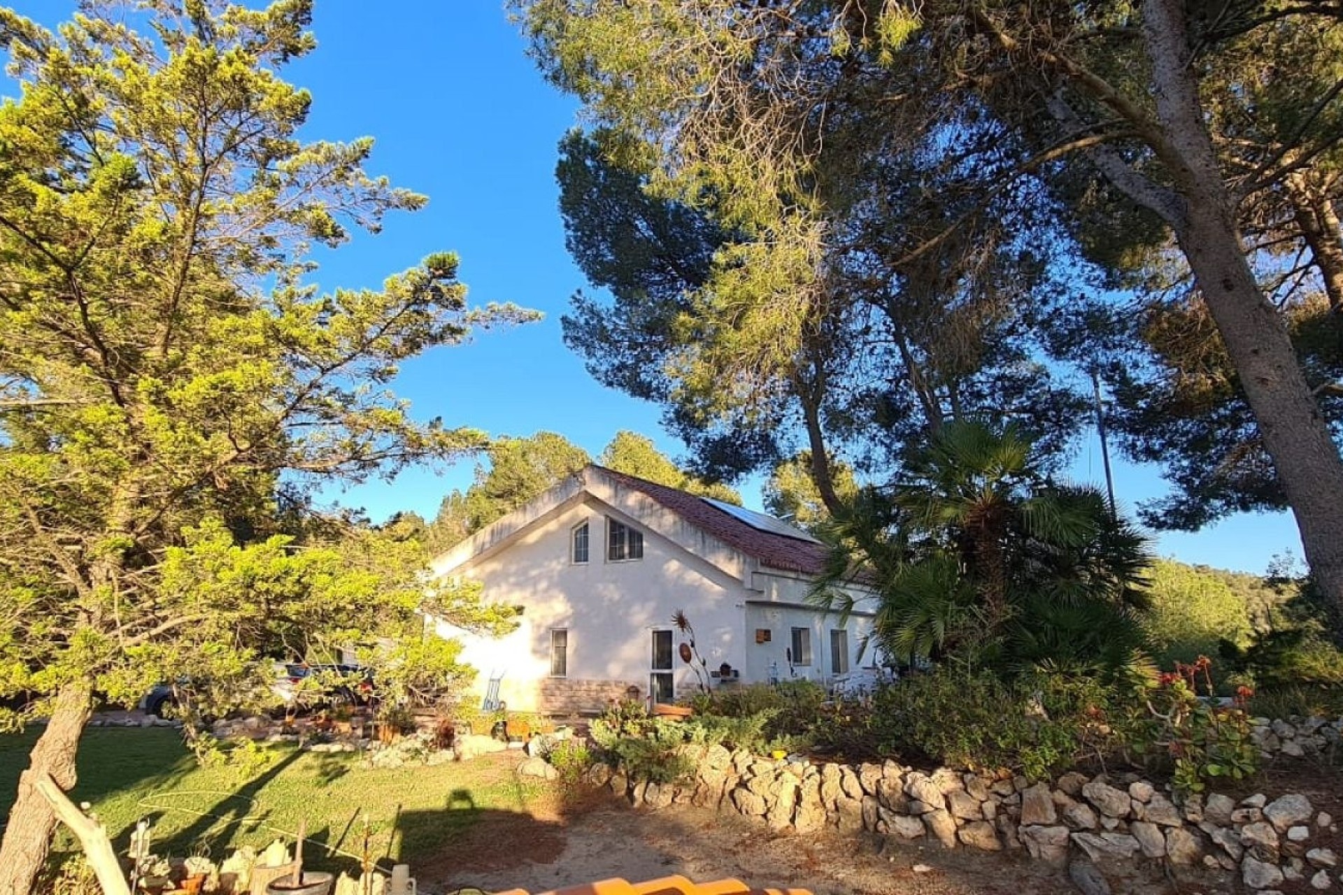Revente - Finca / Propriété rurale -
Sax - SAX