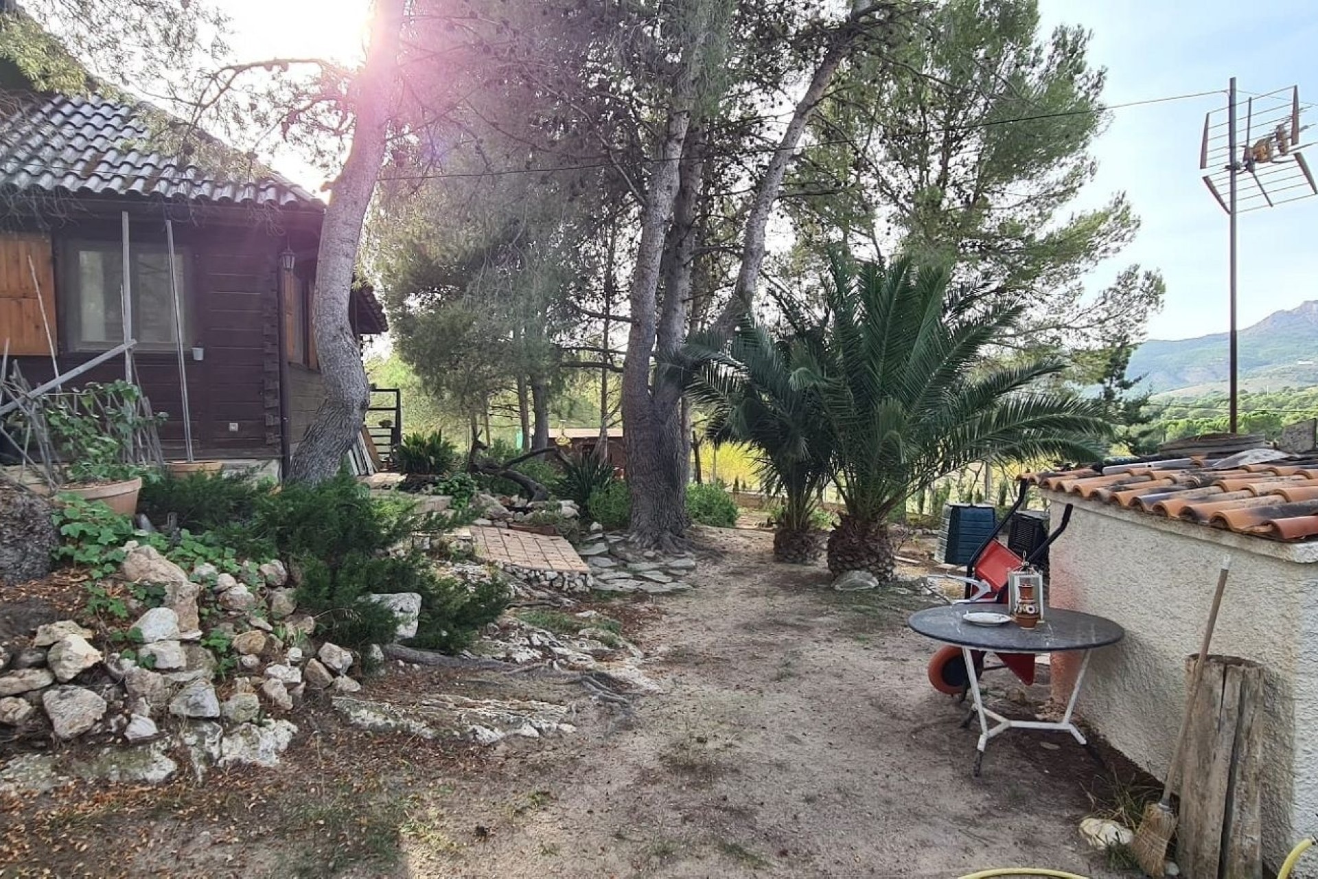 Revente - Finca / Propriété rurale -
Sax - SAX