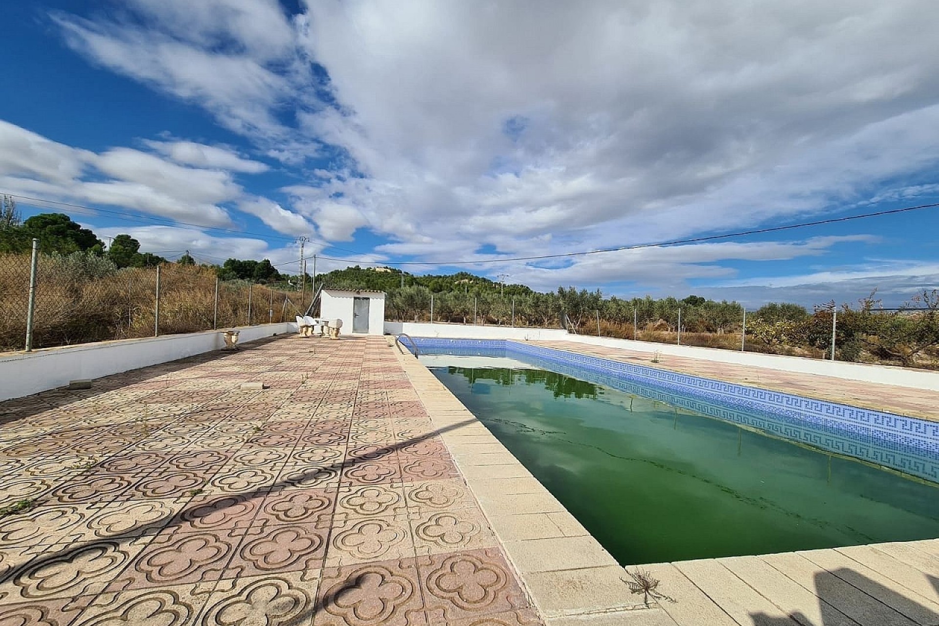 Revente - Finca Propriété rurale -
SAX