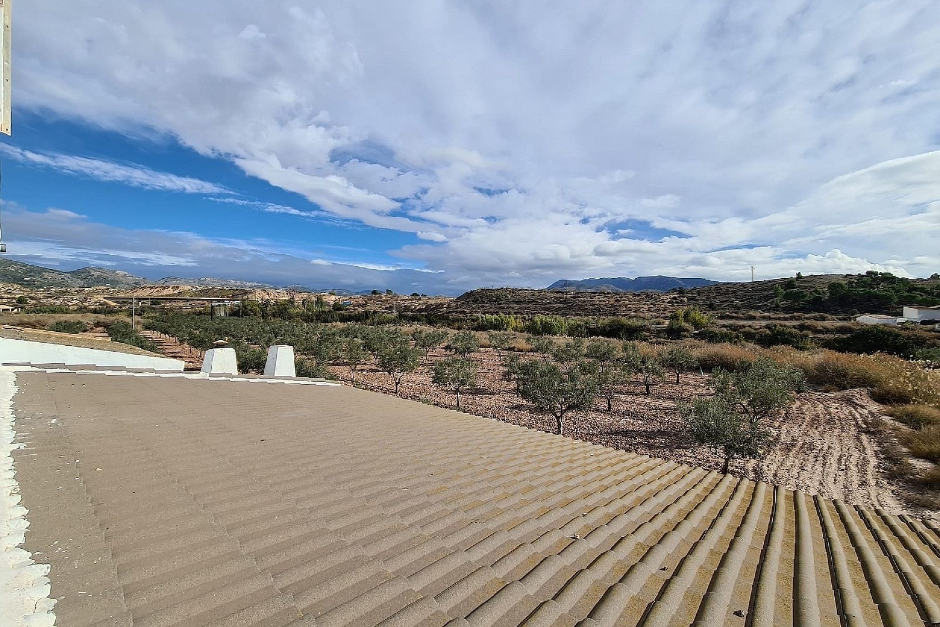 Revente - Finca Propriété rurale -
SAX