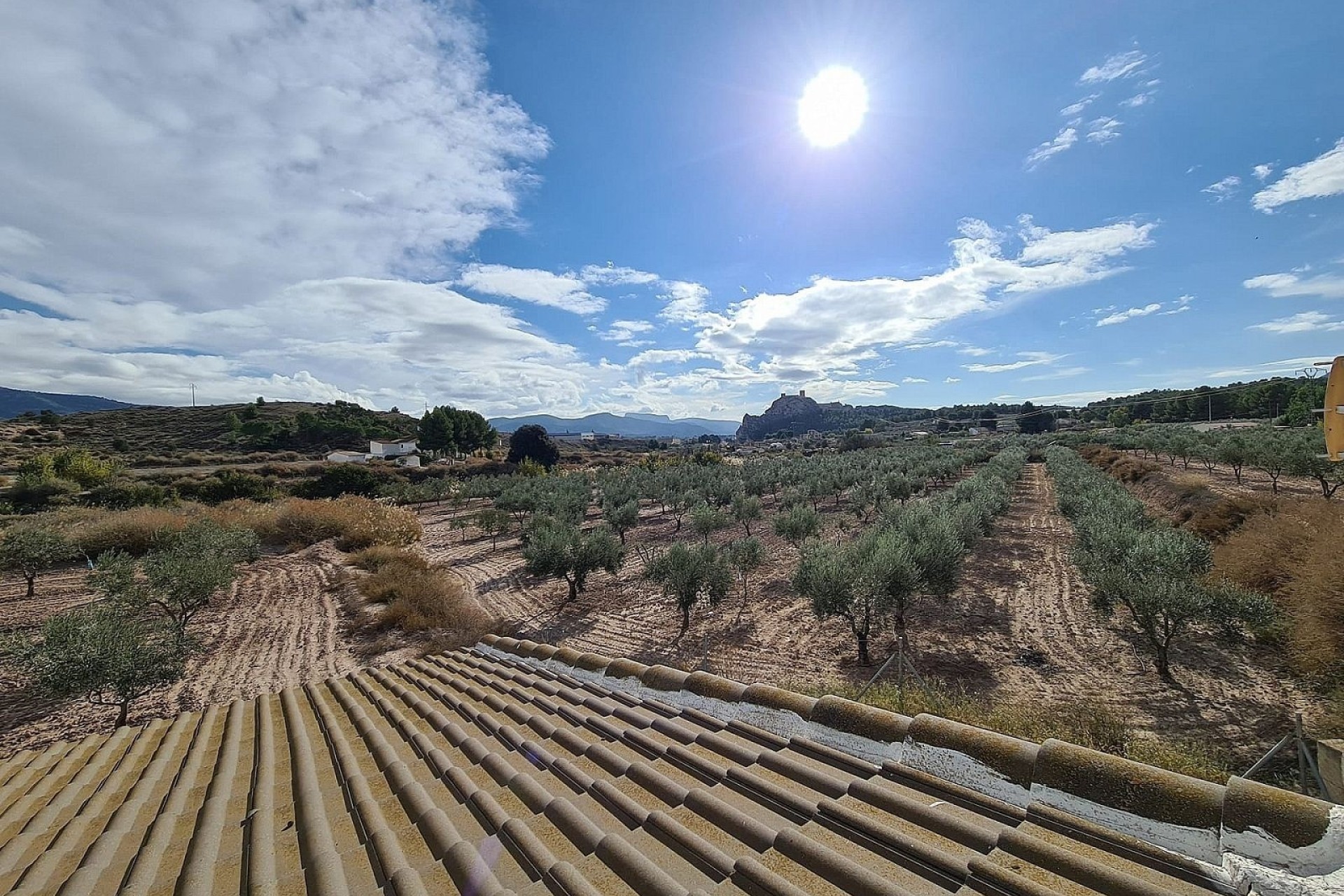 Revente - Finca Propriété rurale -
SAX