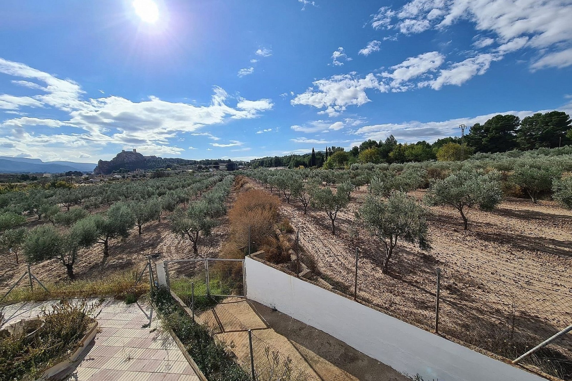 Revente - Finca Propriété rurale -
SAX