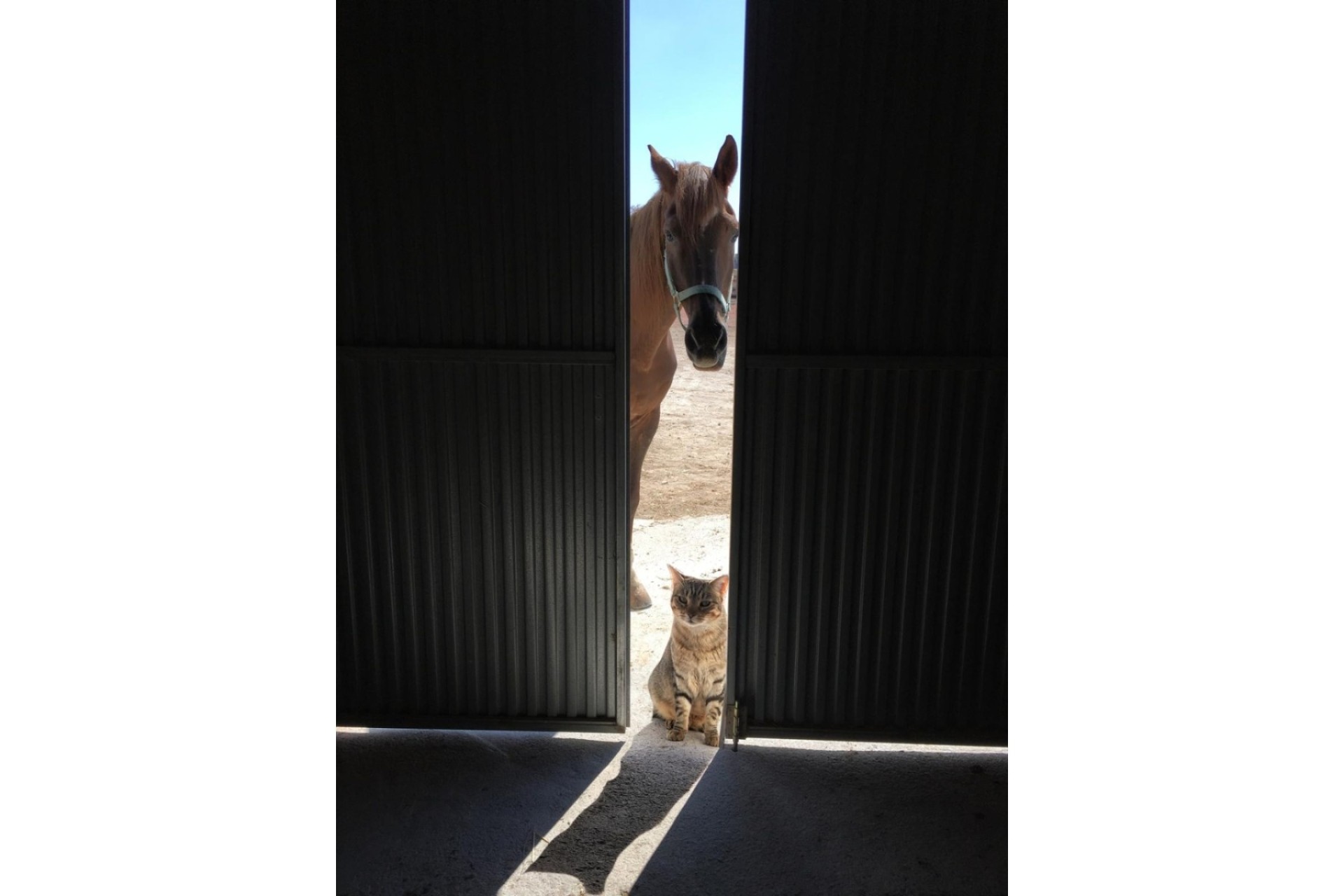 Revente - Finca Propriété rurale -
Torre del Rico - Torre Del Rico