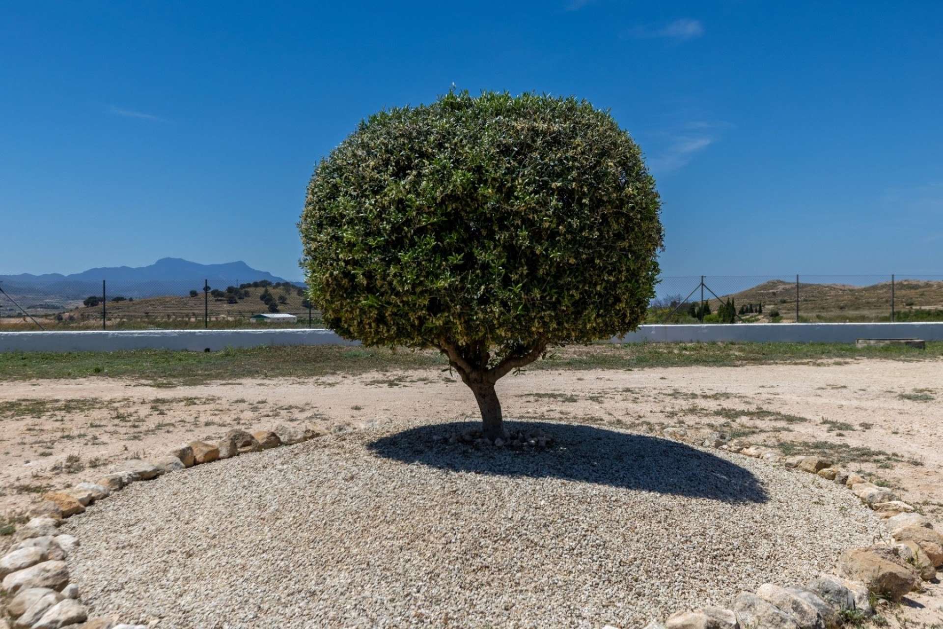Revente - Finca Propriété rurale -
Torre del Rico - Torre Del Rico