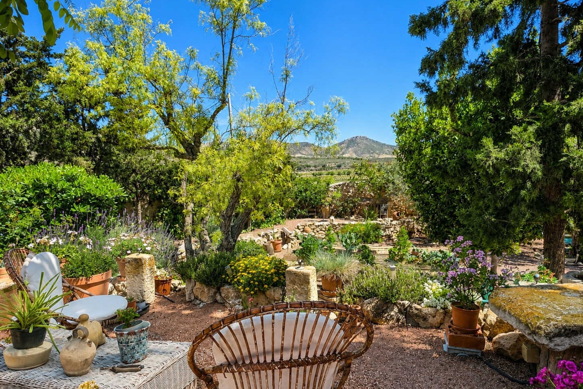 Revente - Finca / Propriété rurale -
Torre Del Rico