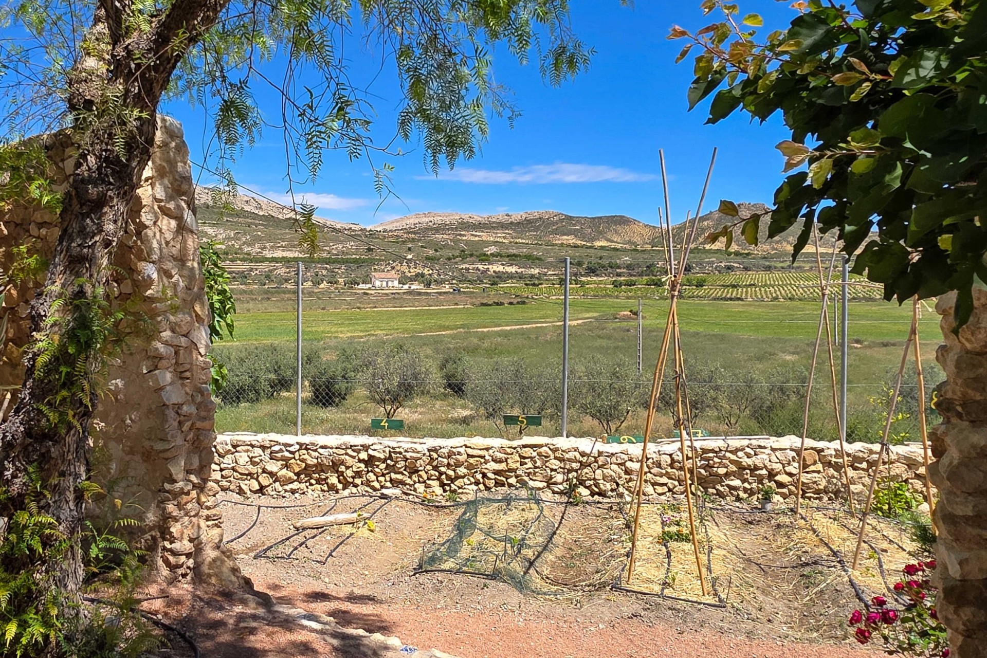 Revente - Finca / Propriété rurale -
Torre Del Rico