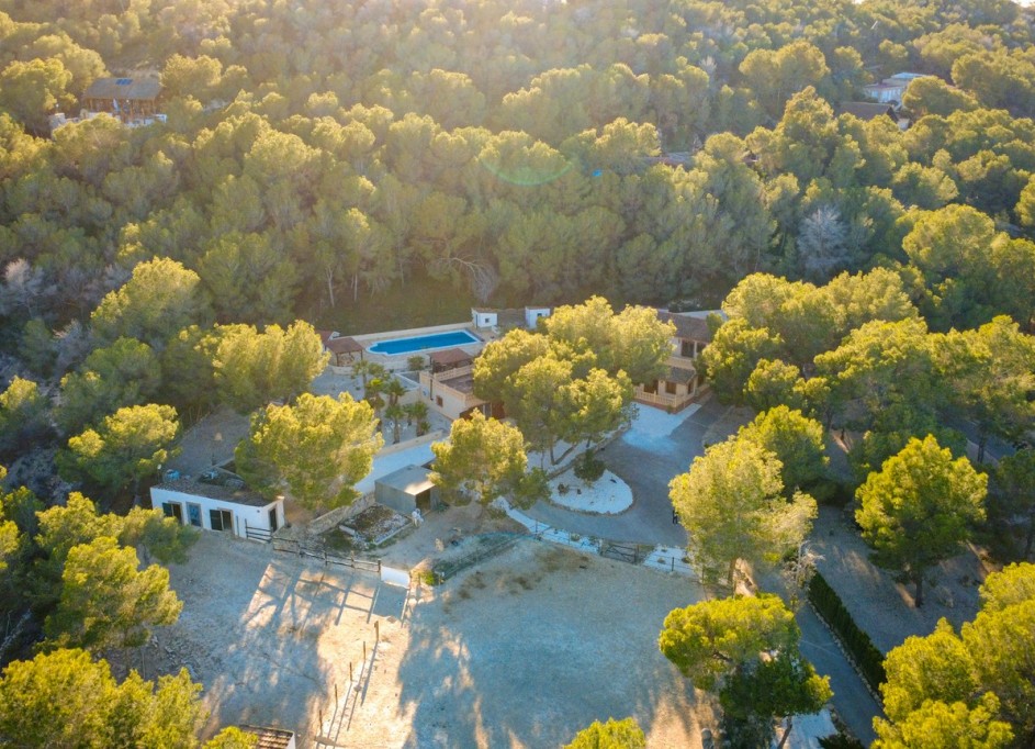 Revente - Finca Propriété rurale -
Torremendo