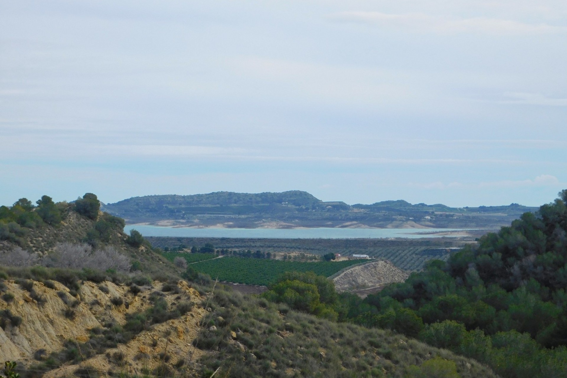 Revente - Finca Propriété rurale -
Torremendo