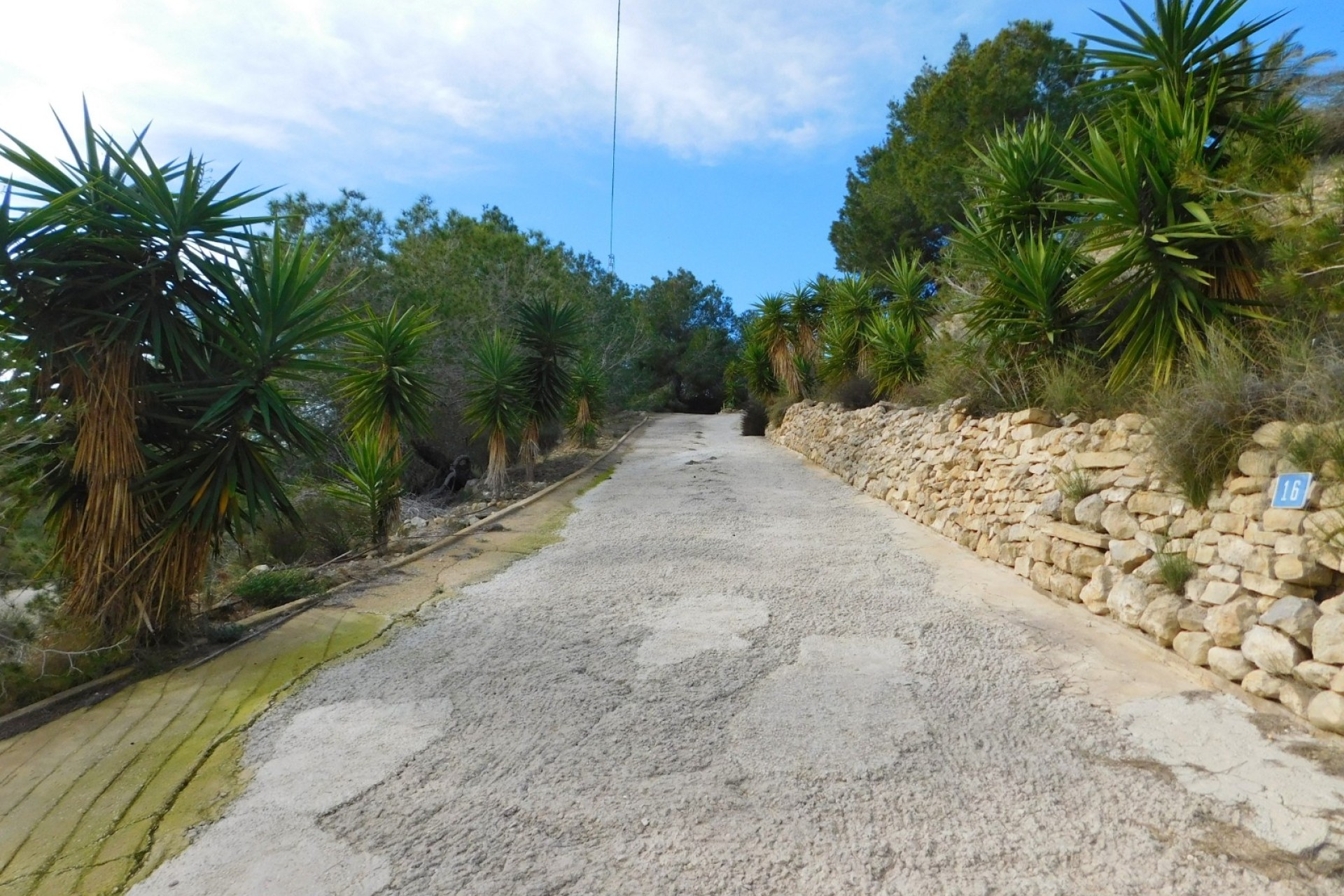 Revente - Finca Propriété rurale -
Torremendo