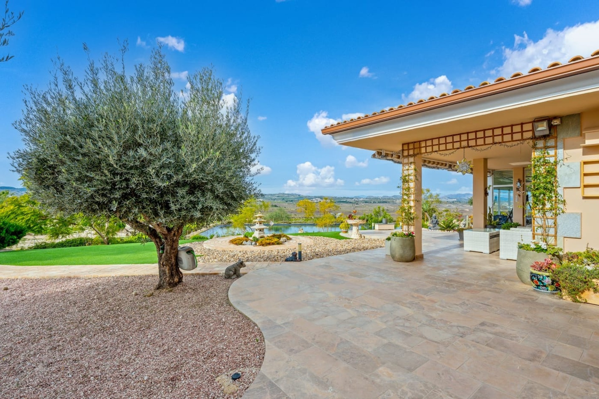 Revente - Finca Propriété rurale -
Torremendo