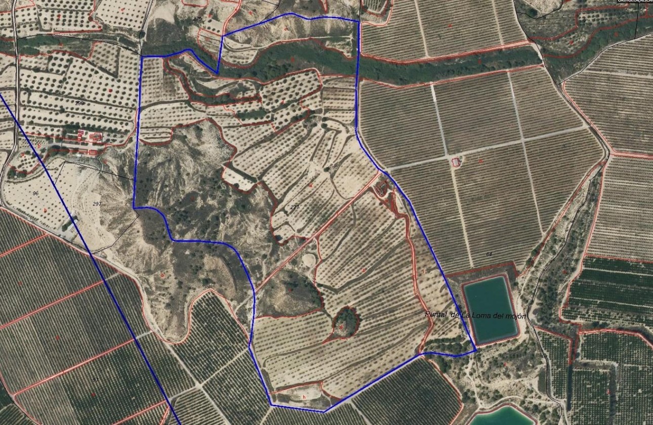 Revente - Finca Propriété rurale -
Torremendo