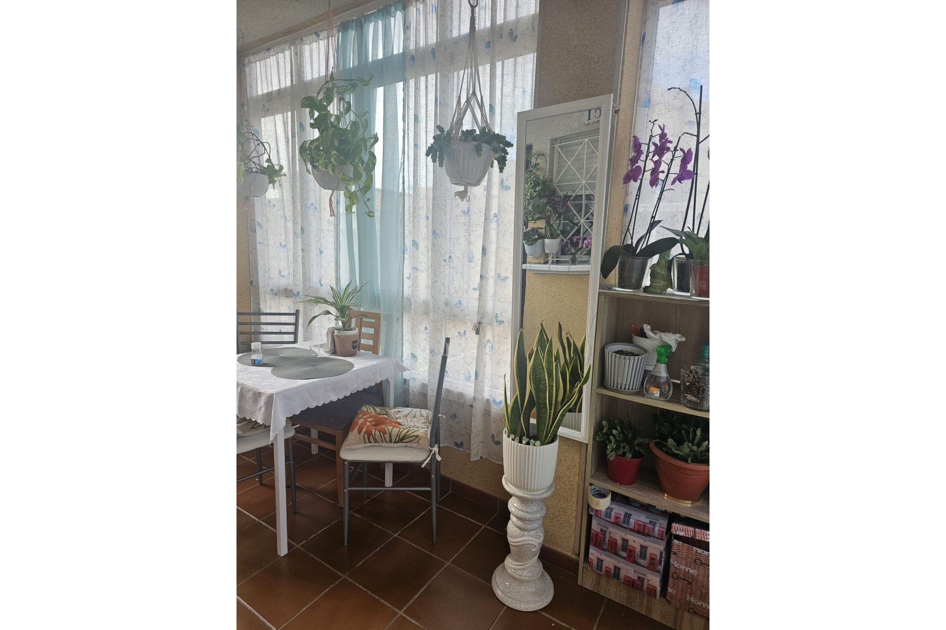 Revente - Finca Propriété rurale -
Torrevieja