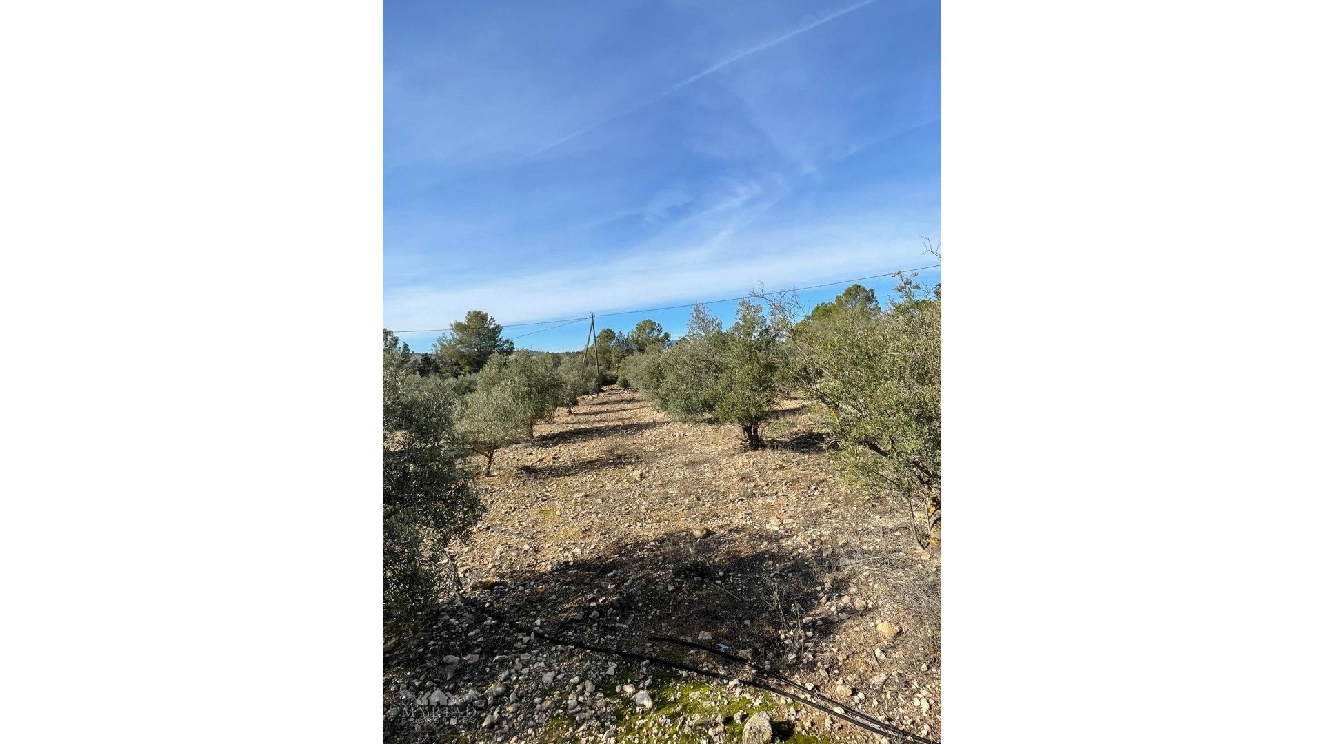 Revente - Finca Propriété rurale -
&Uacute;beda - &Uacute;beda Alicante