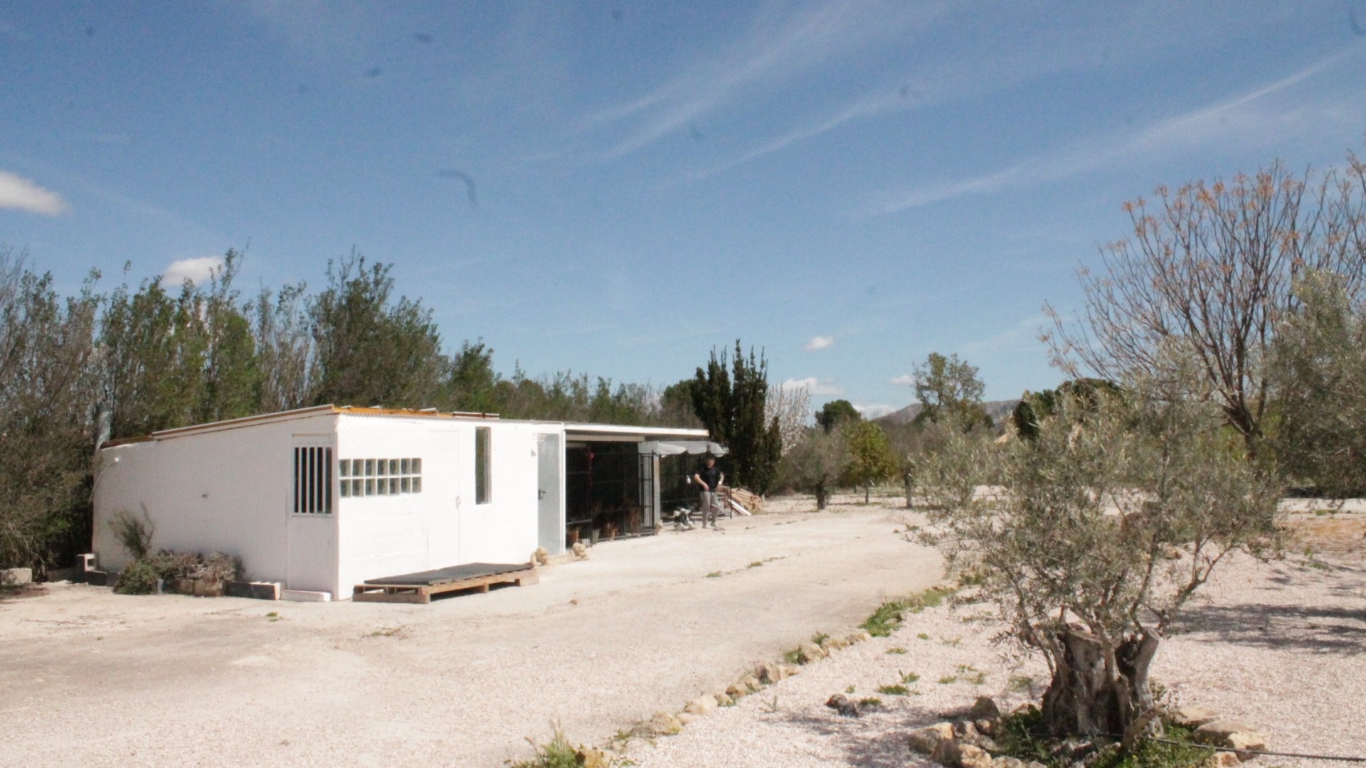 Revente - Finca Propriété rurale -
Villena - Villena Alicante