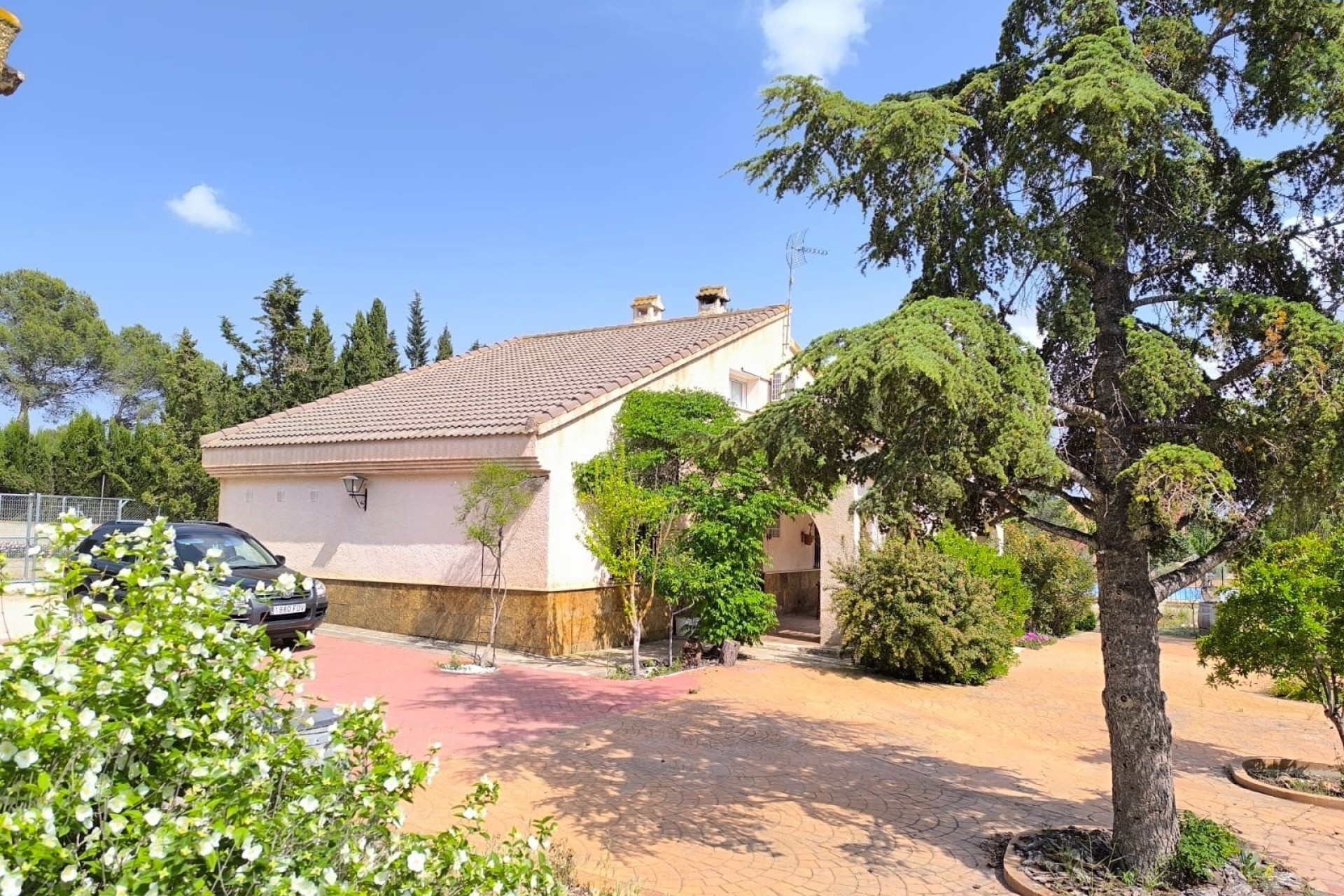 Revente - Finca / Propriété rurale -
Yecla - Inland