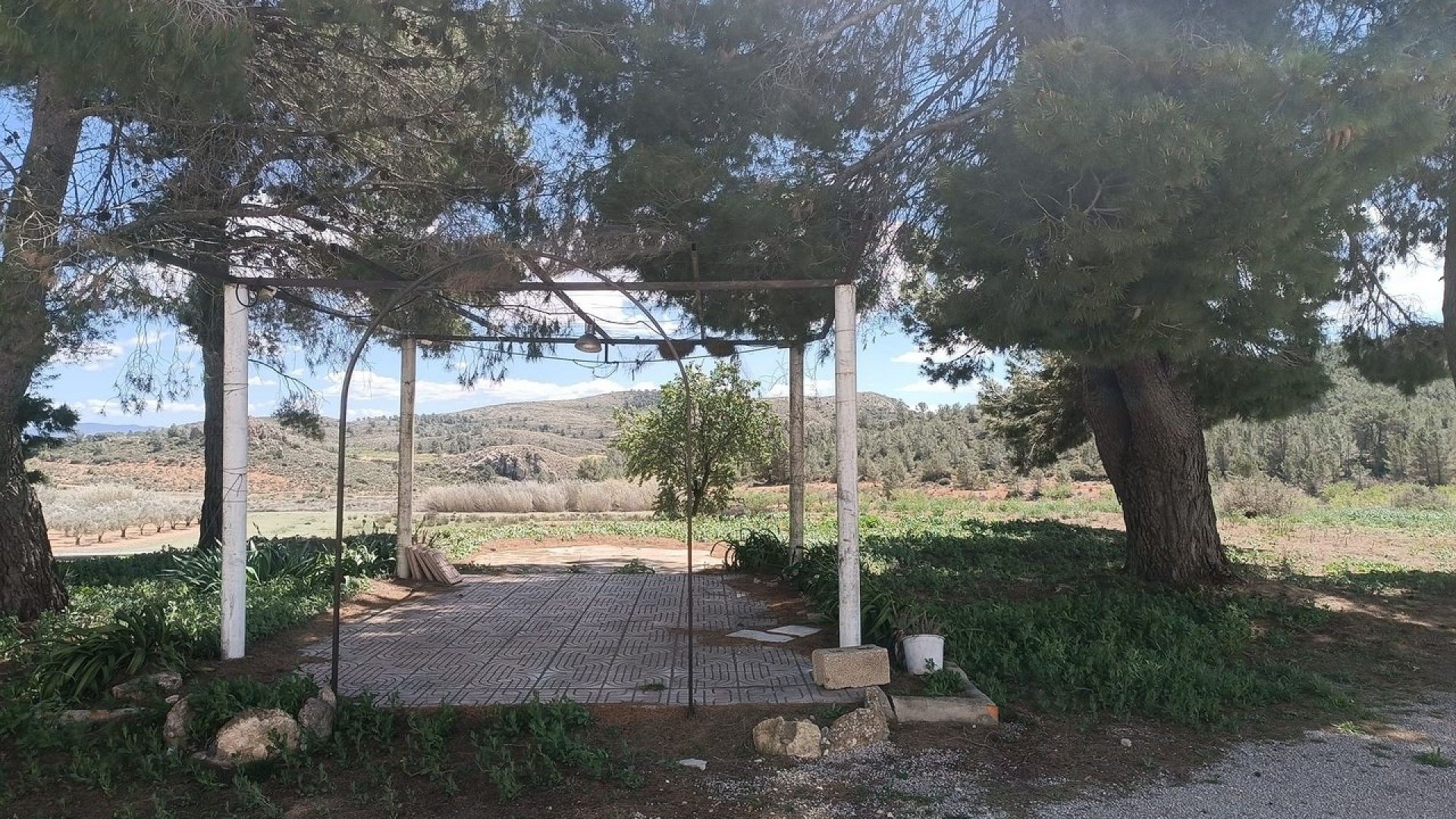 Revente - Finca Propriété rurale -
Yecla
