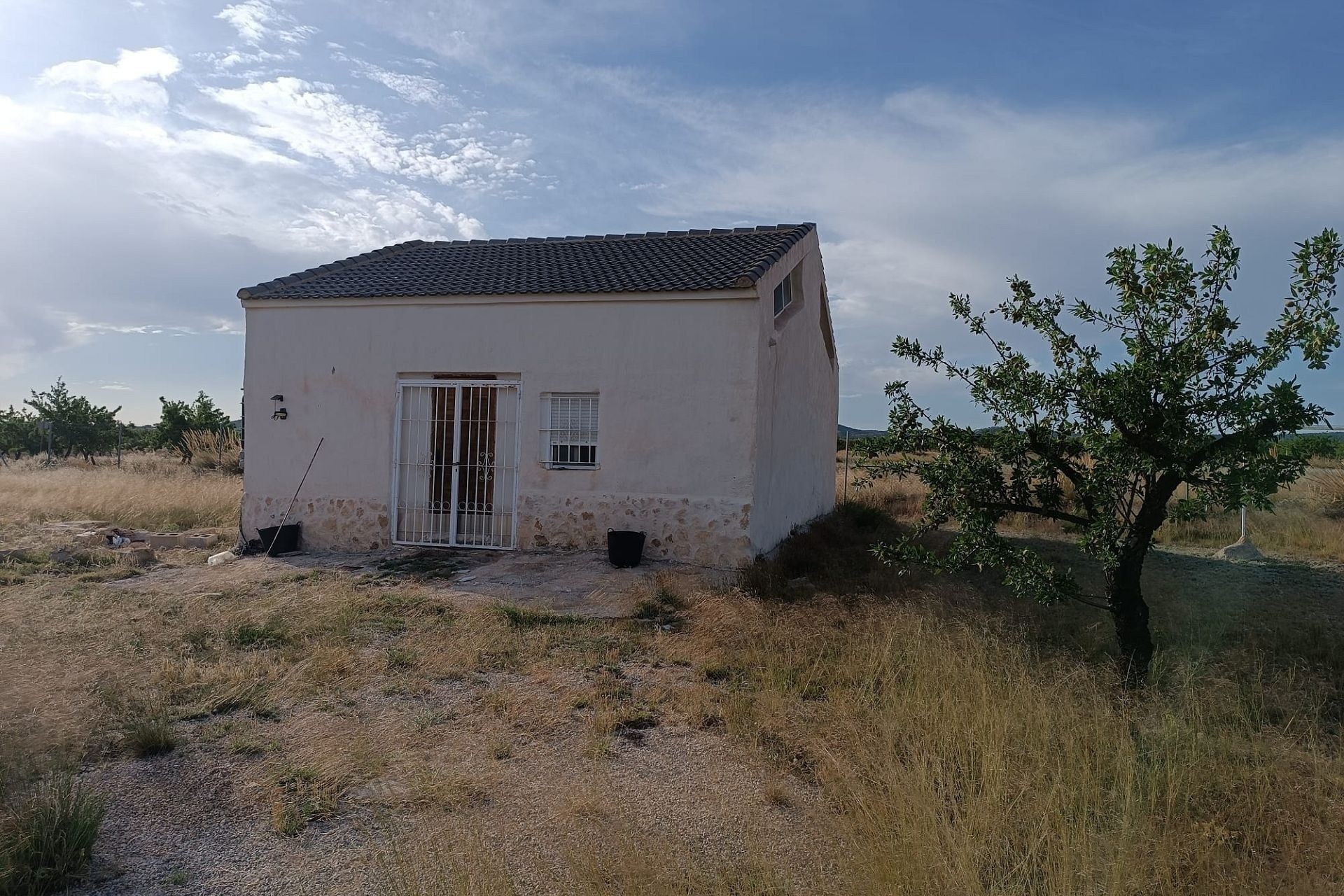 Revente - Finca Propriété rurale -
Yecla