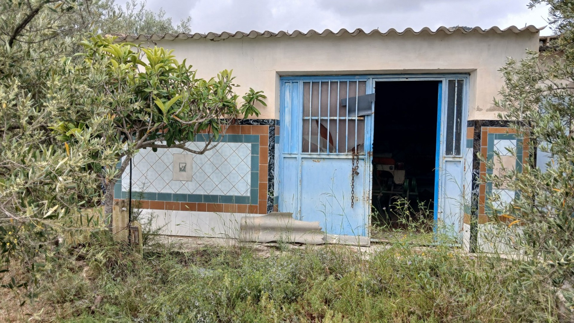 Revente - Finca Propriété rurale -
Yecla