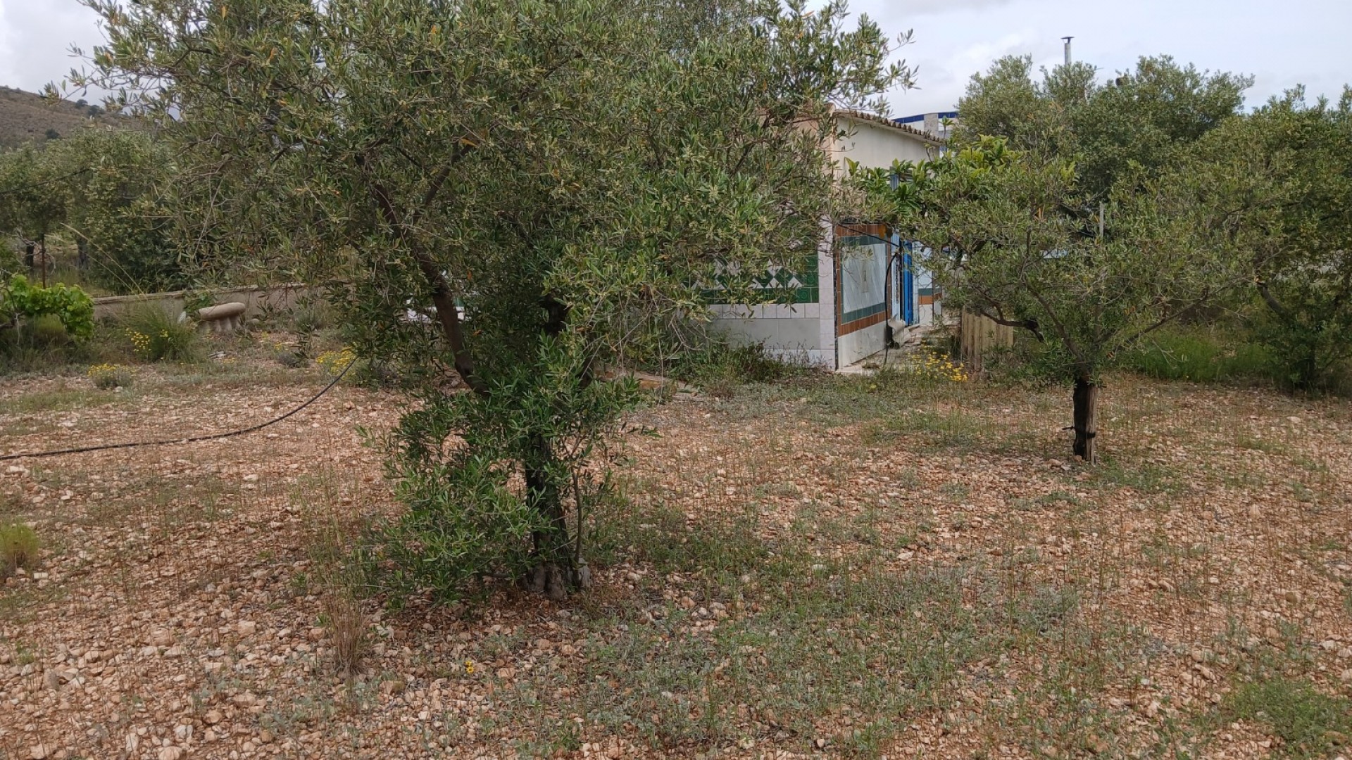 Revente - Finca Propriété rurale -
Yecla