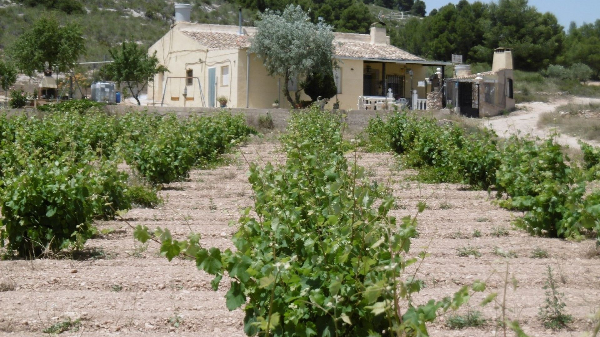 Revente - Finca Propriété rurale -
Yecla