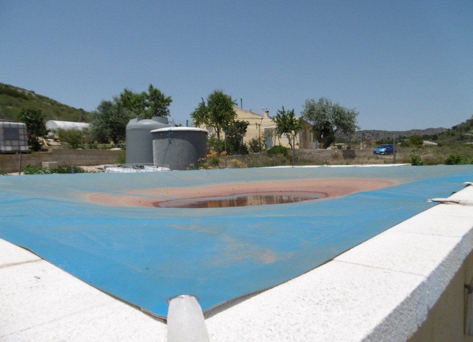 Revente - Finca Propriété rurale -
Yecla