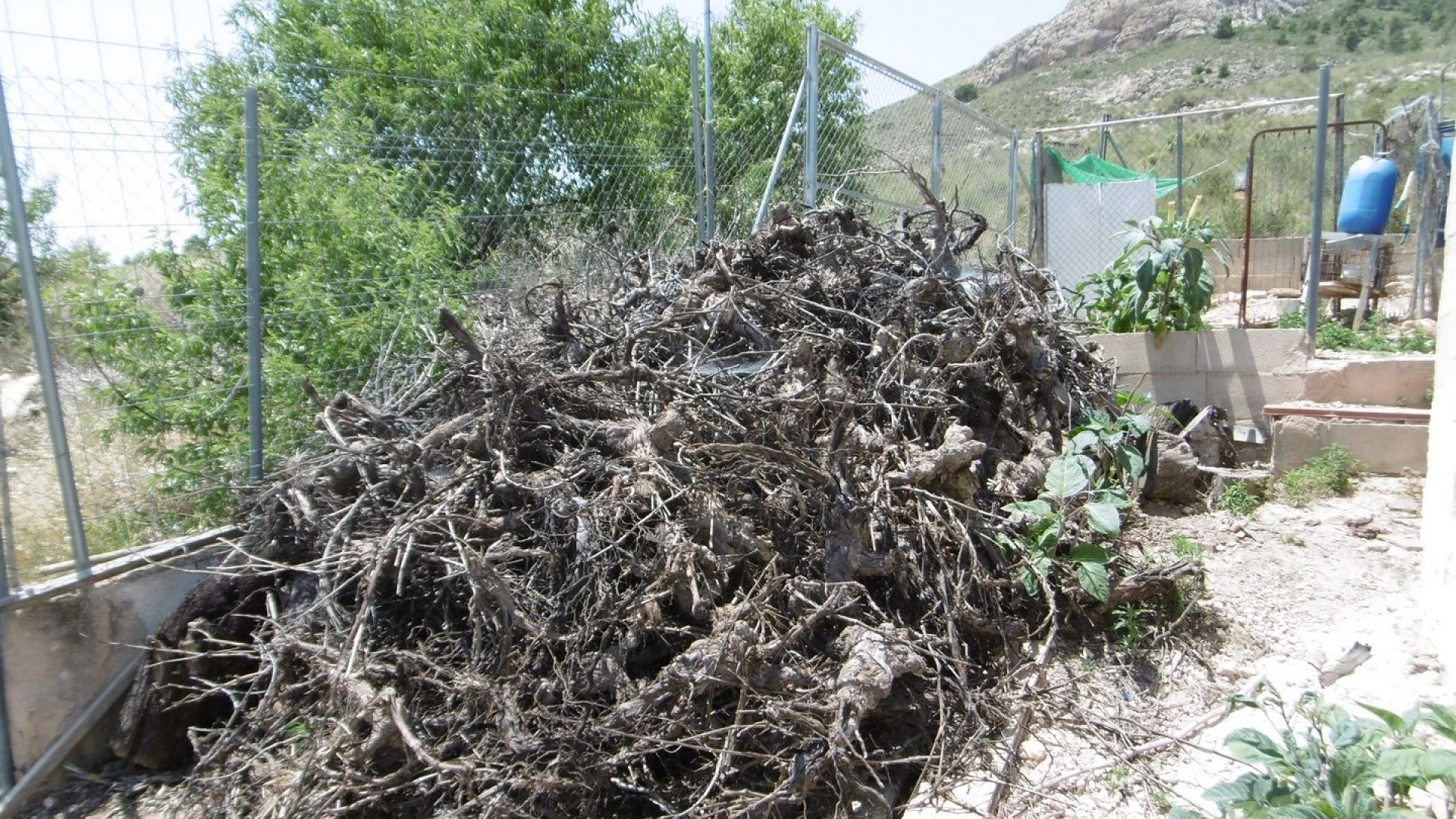 Revente - Finca Propriété rurale -
Yecla