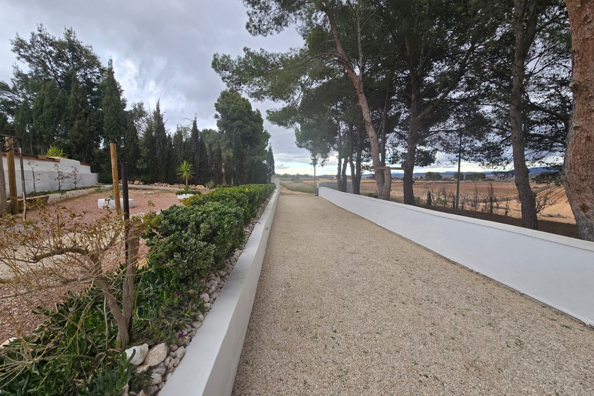 Revente - Finca Propriété rurale -
Yecla