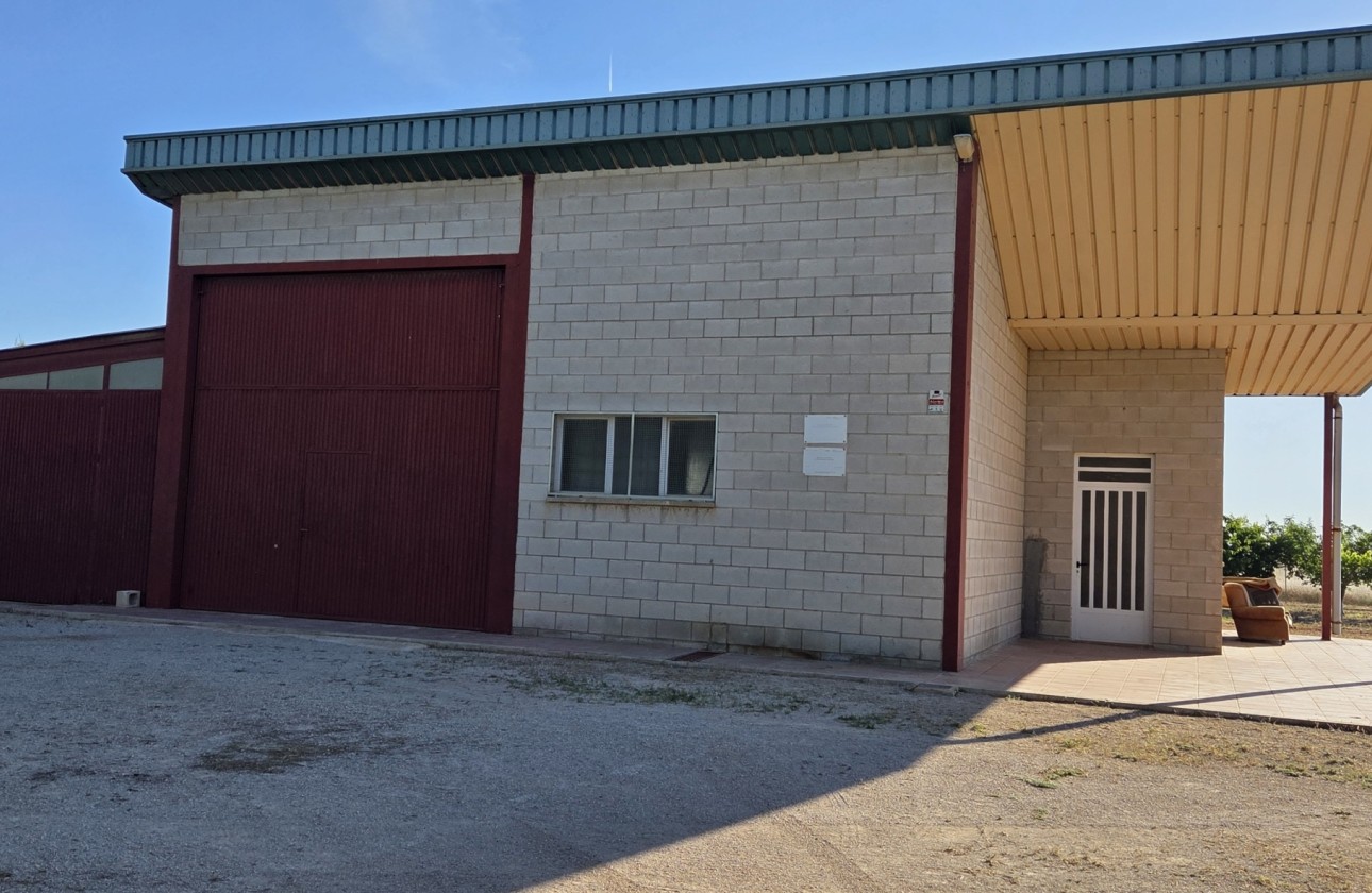 Revente - Finca / Propriété rurale -
Yecla